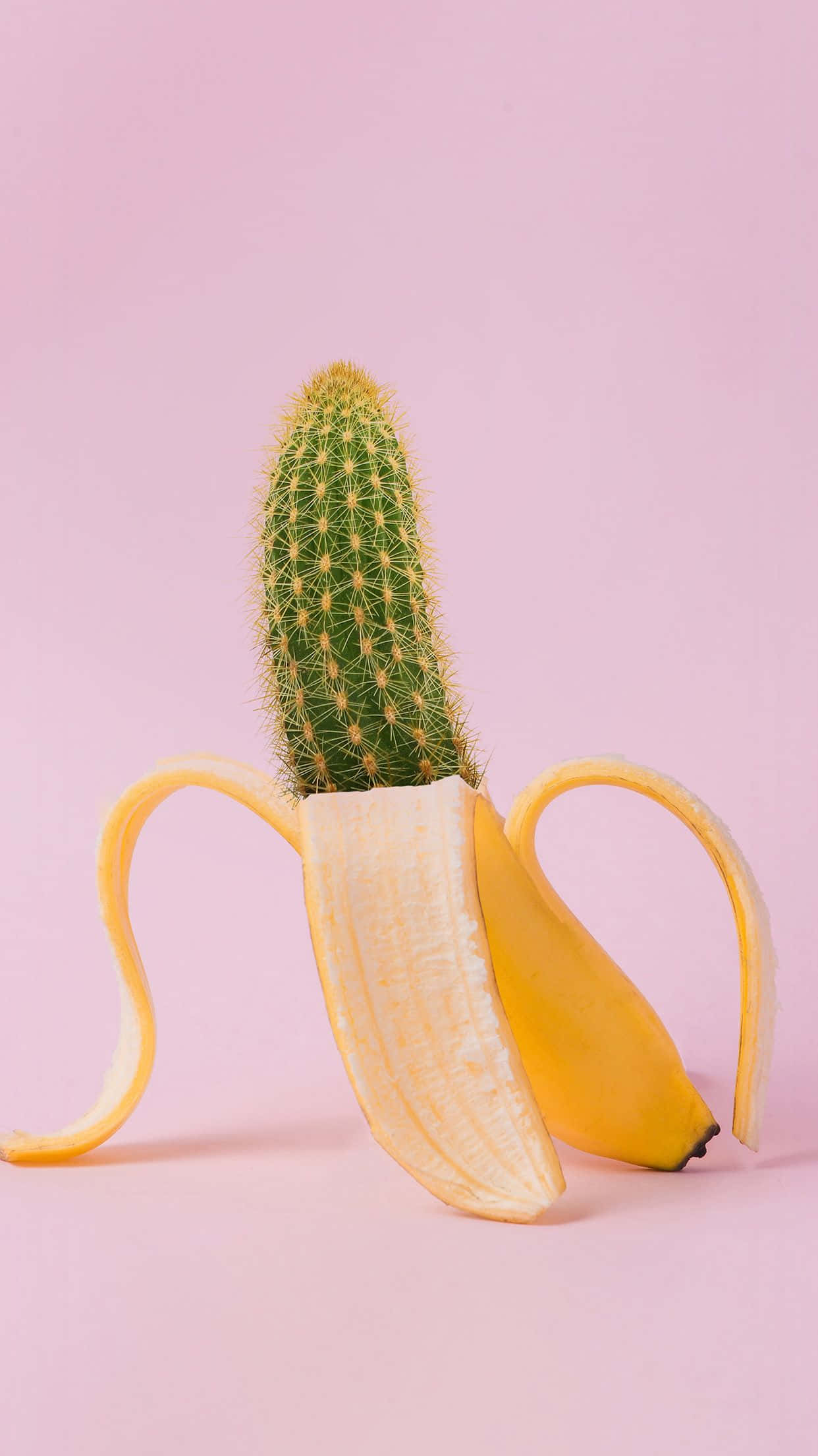 cactus, peeled yellow banana, soft pink background, Full HD Phone Wallpaper