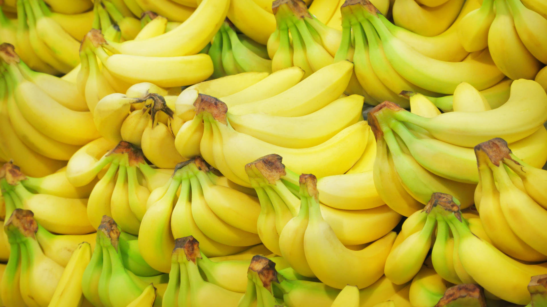 bananas, yellow, green stems, Full HD Desktop Wallpaper