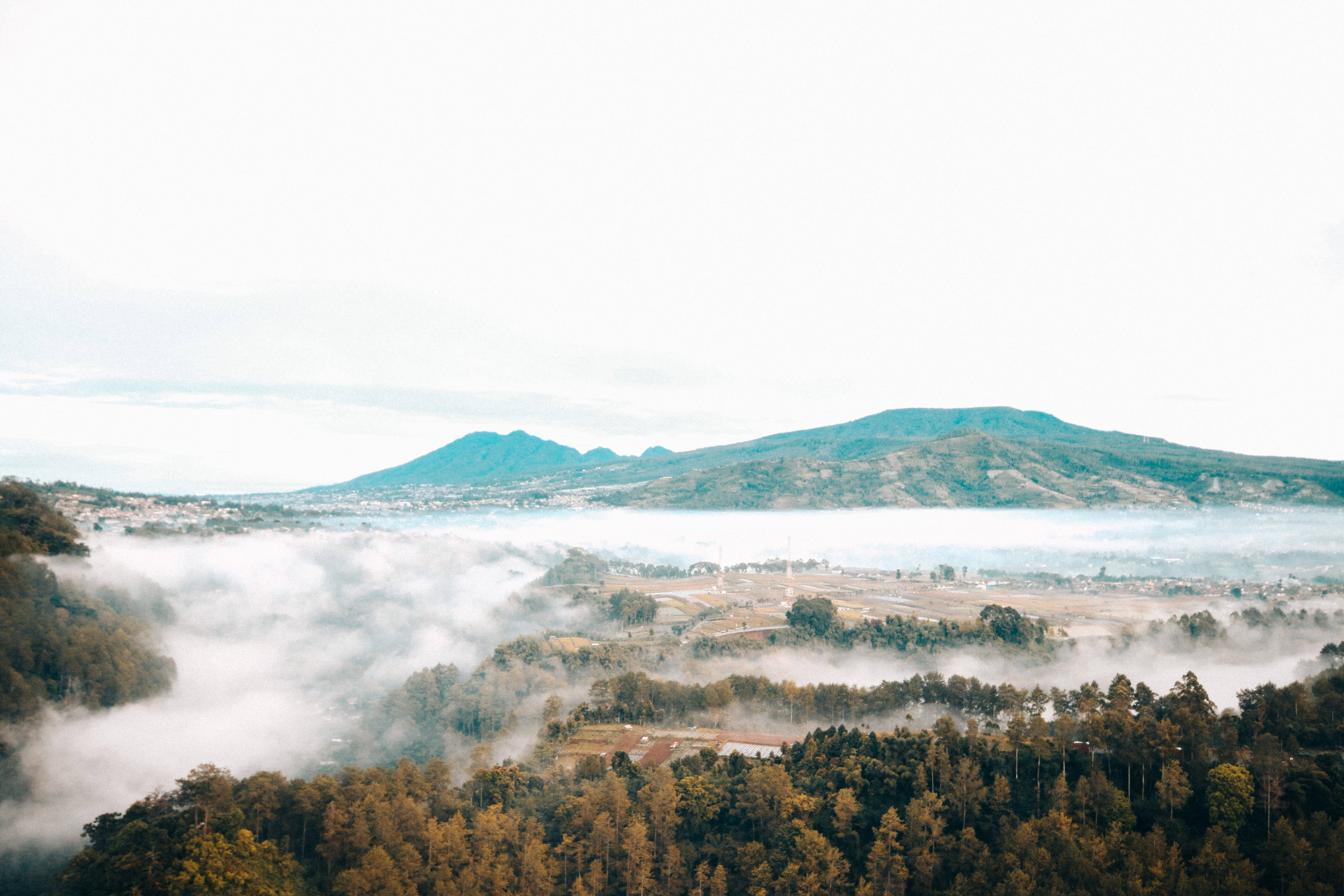 Bandung, foggy forest, misty morning, 5K Desktop Wallpaper