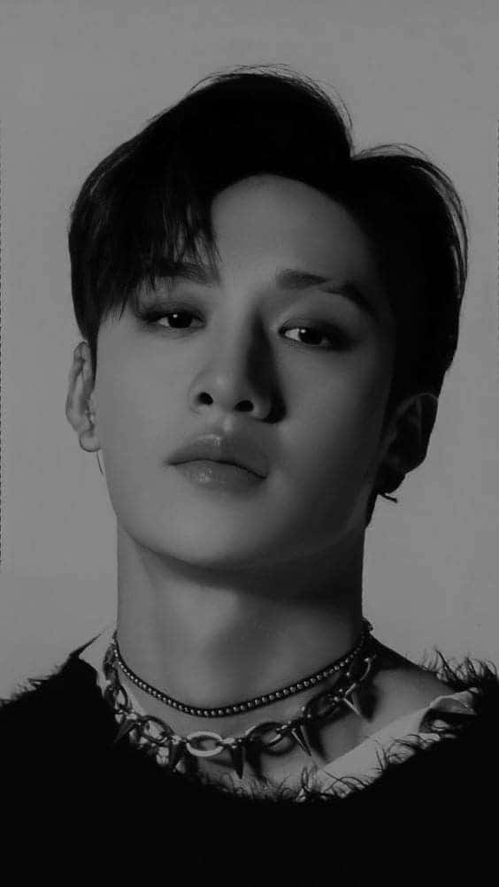 Bang Chan, black and white portrait, styled hair, SD Phone Wallpaper