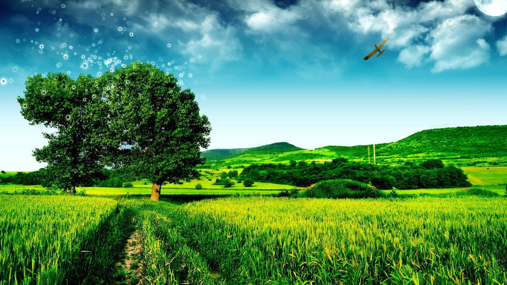 Bangladesh, green landscape, vibrant green field, Full HD Desktop Wallpaper