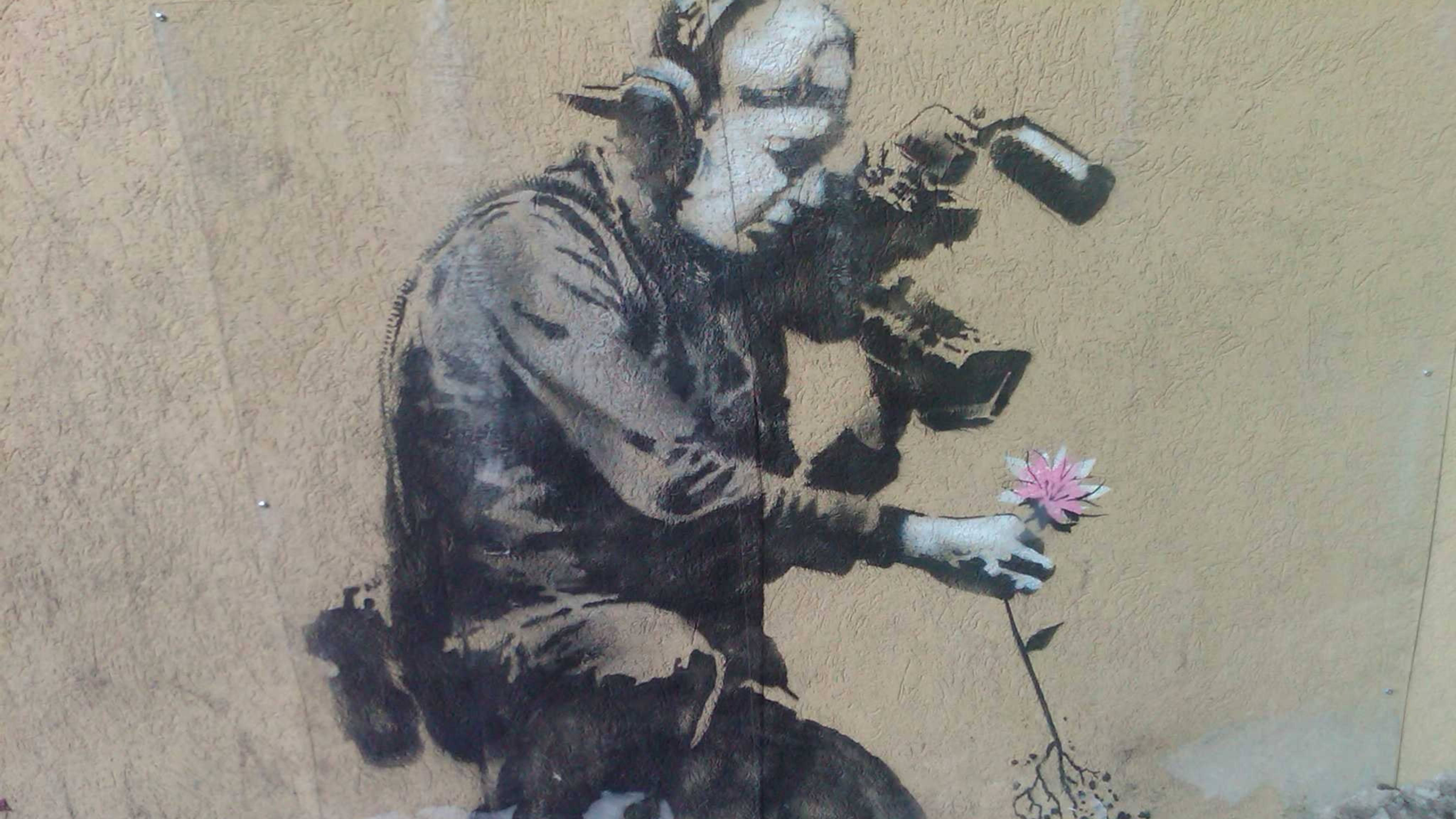 Banksy, cameraman, pink flower, 4K Desktop Wallpaper
