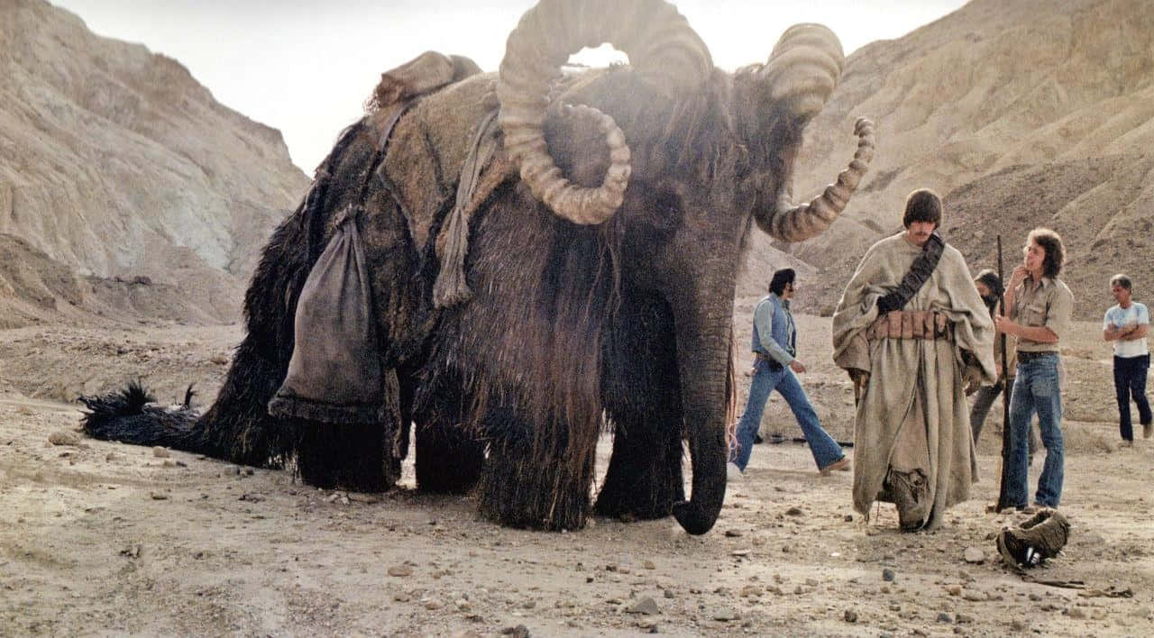 Bantha, horned elephant, fur, HD Desktop Wallpaper