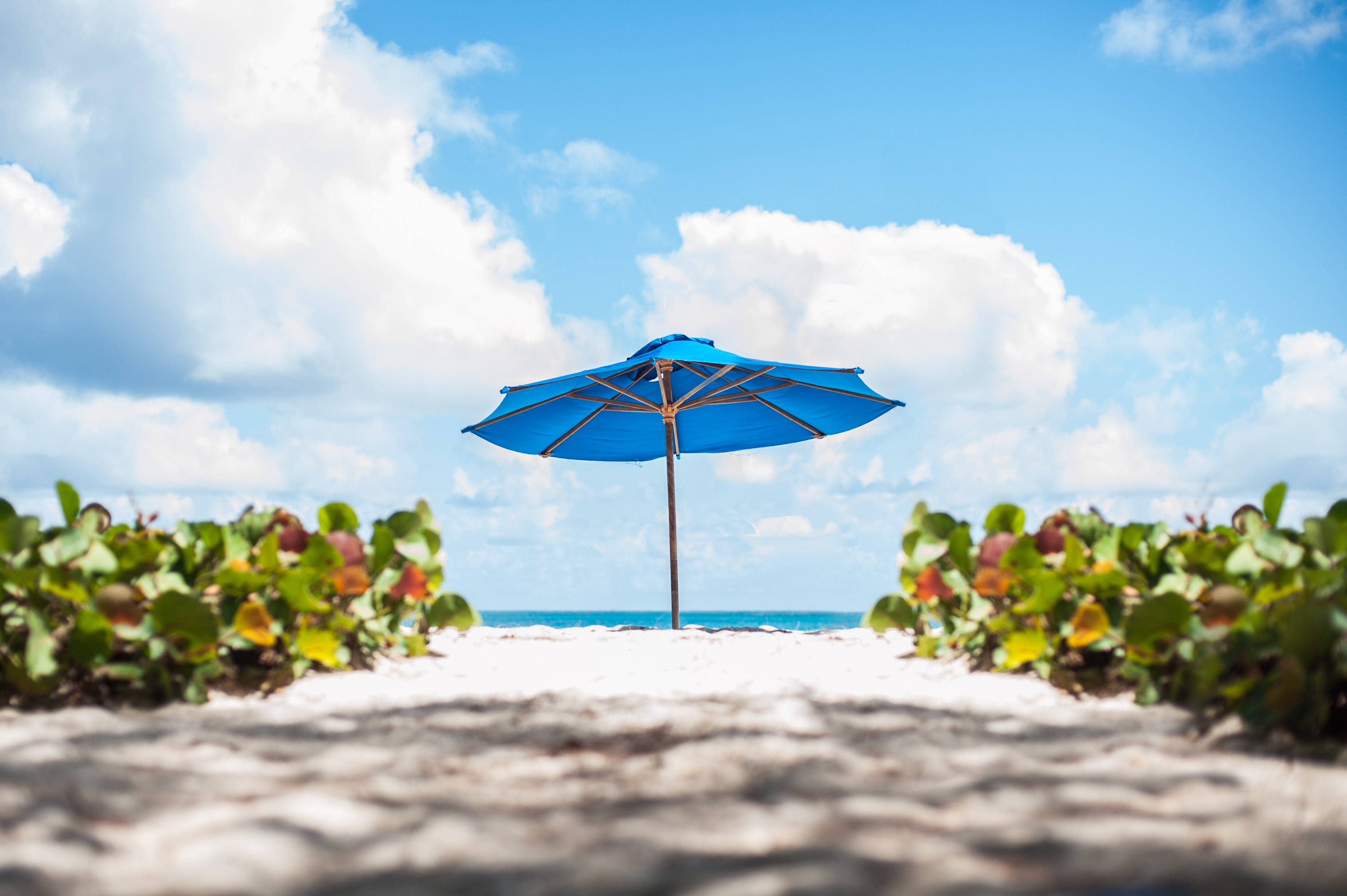 Barbados, beach umbrella, white sand, 2K Desktop Wallpaper