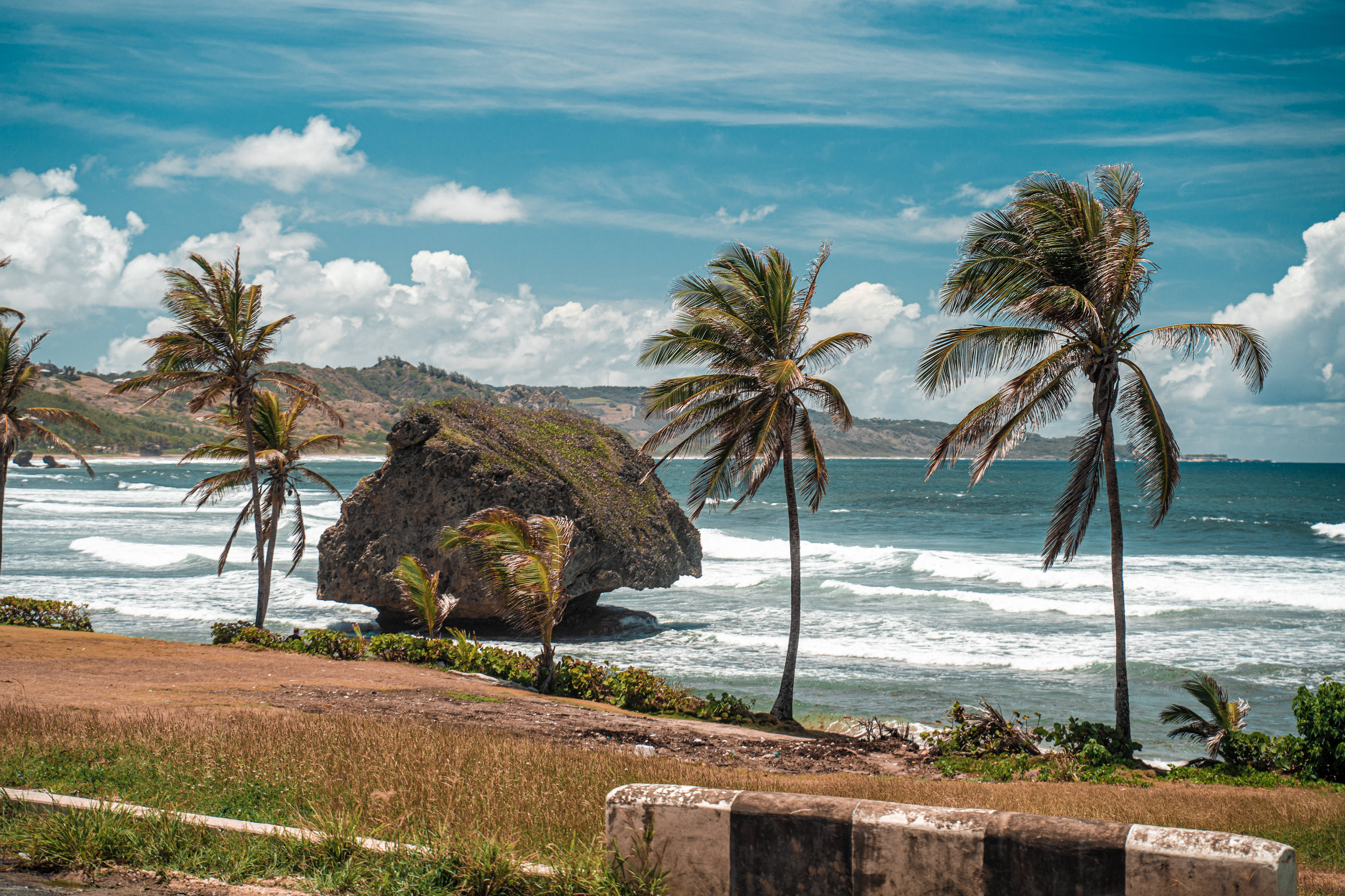 Barbados, palm trees, large rock formation, 5K Desktop Wallpaper