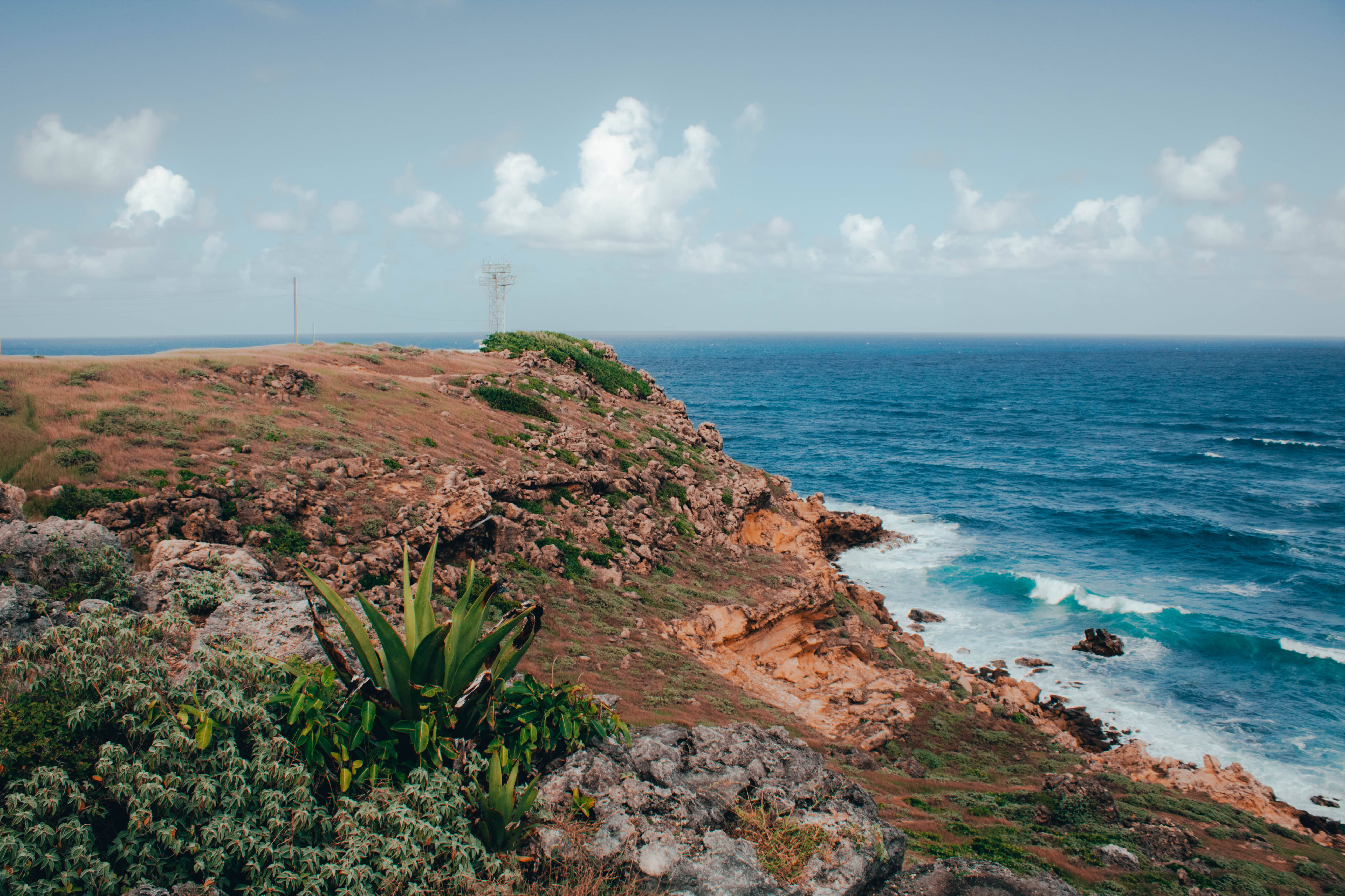 Barbados, rocky seaside, turquoise ocean, 5K Desktop Wallpaper
