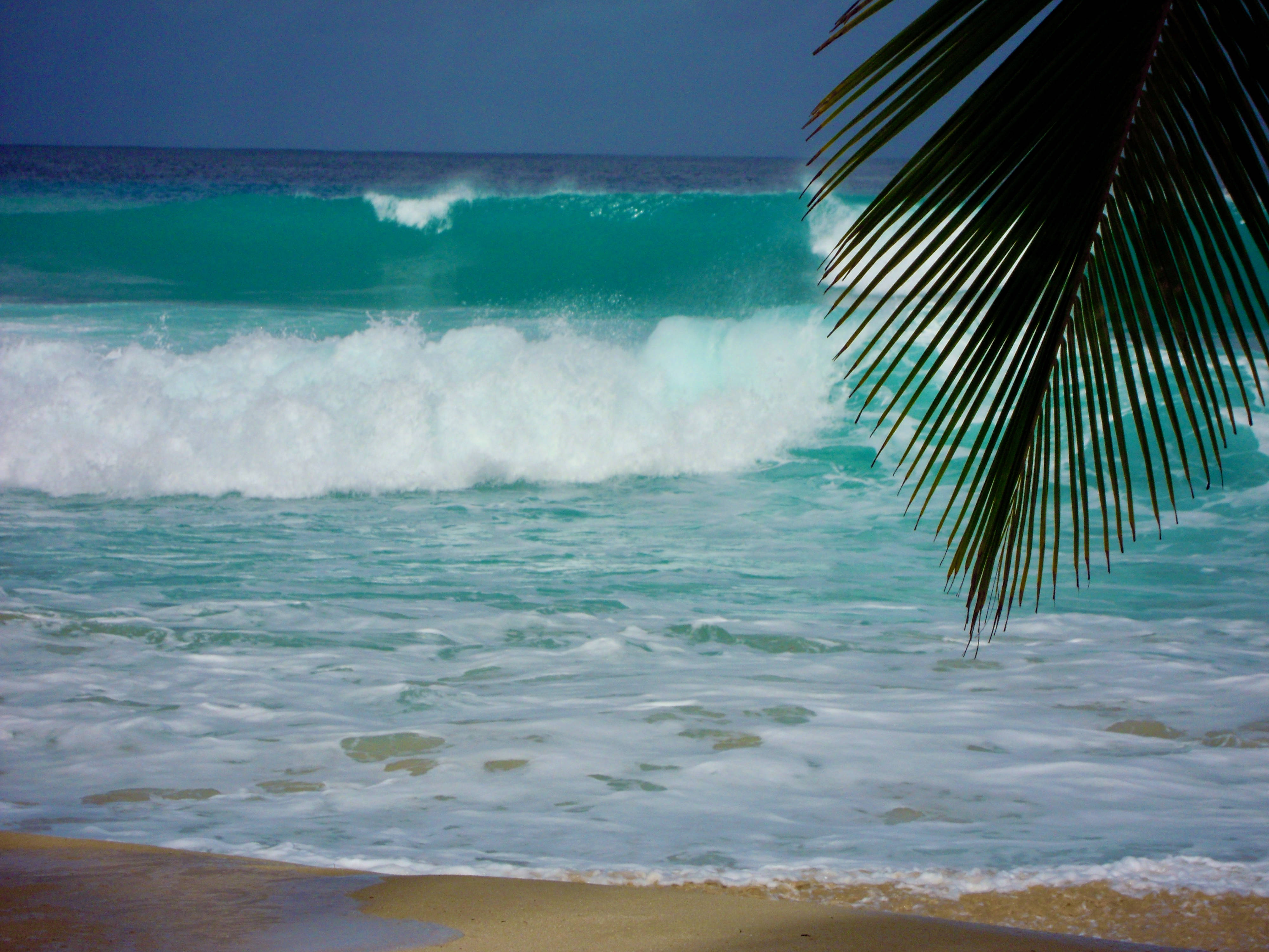 Barbados, turquoise waves, sandy shore, 4K Desktop Wallpaper