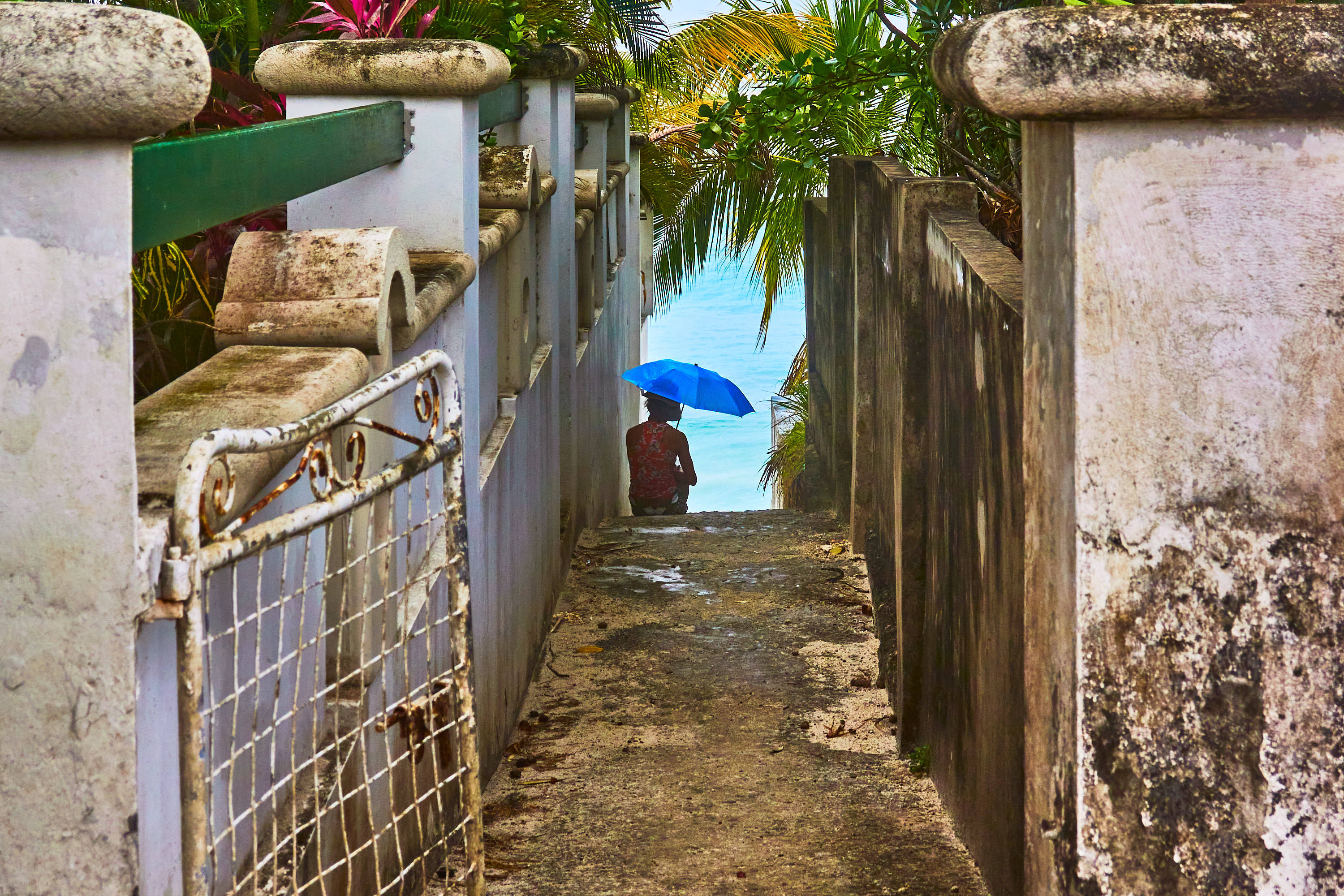 Barbados, blue umbrella, narrow alleyway, 2K Desktop Wallpaper
