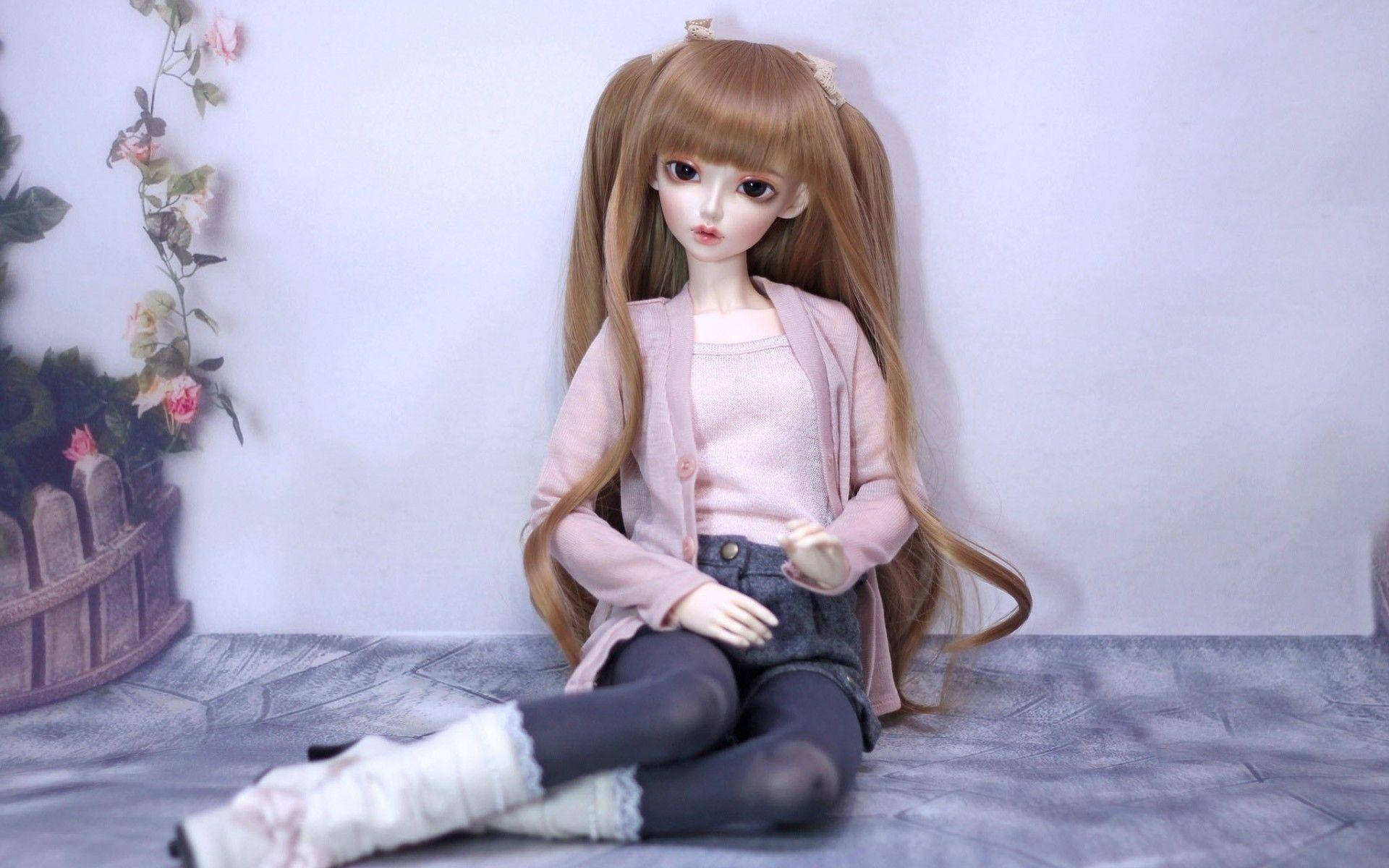 Barbie Doll, pigtails, brown pigtails, Full HD Desktop Wallpaper