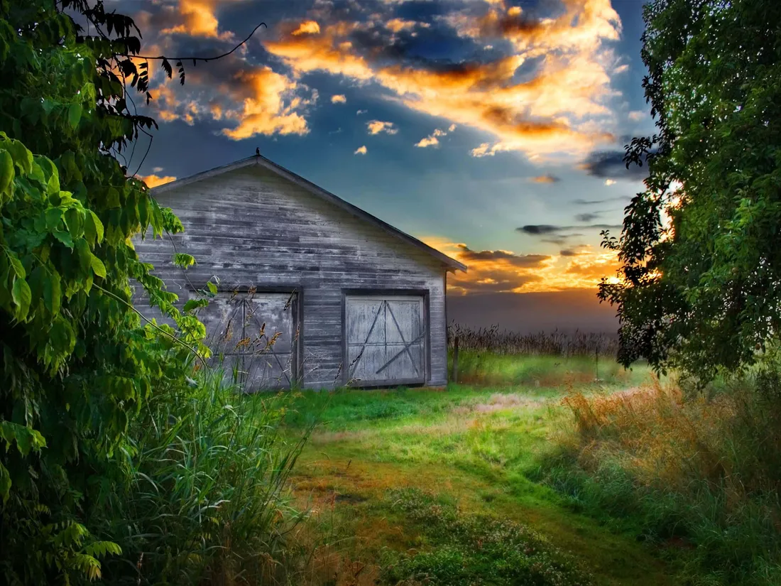 Barn Wood