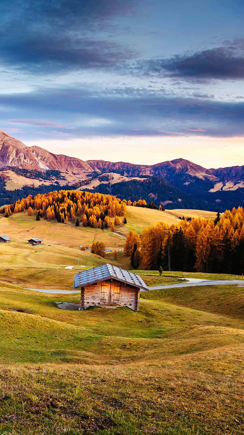 old barn cabin, grass hillside, golden autumn trees, HD Phone Wallpaper