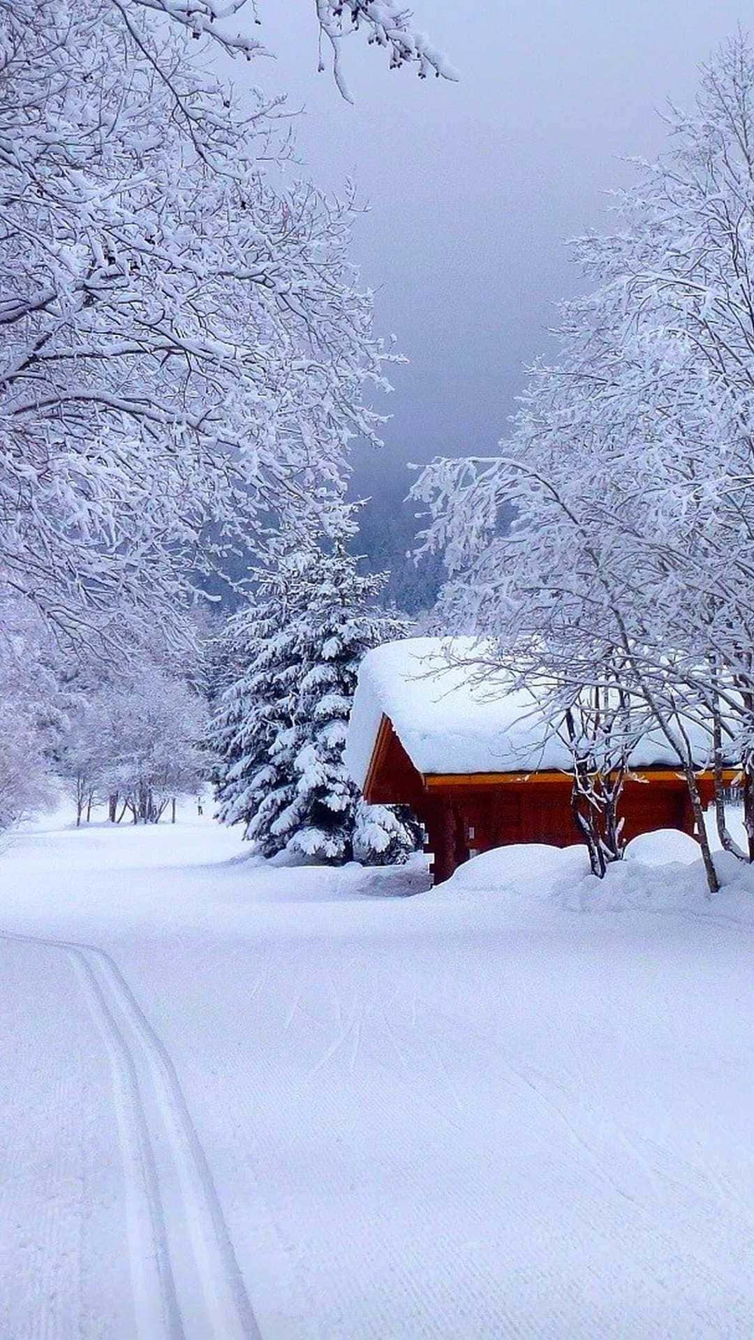 Red Barn, snow-covered trees, snowy path, Full HD Phone Wallpaper
