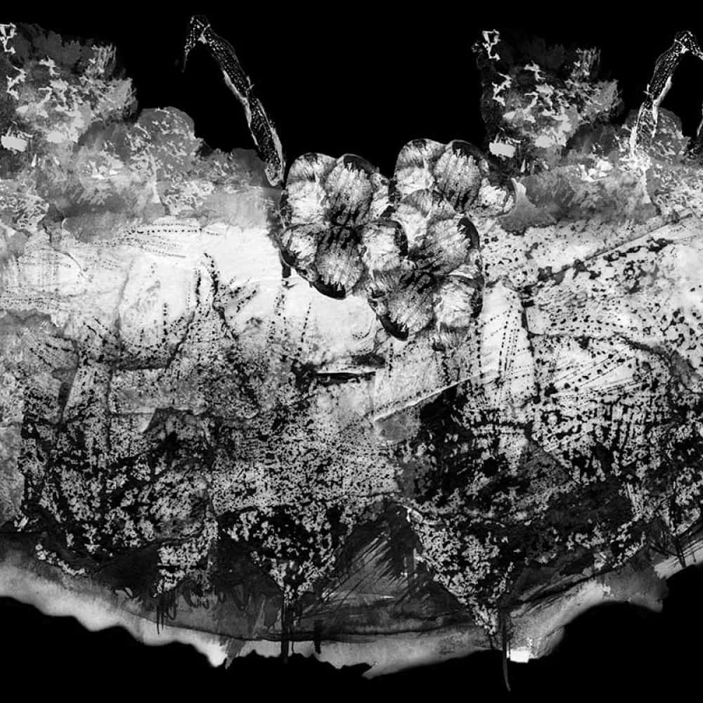 abstract barnacle texture art, monochromatic, textured brushstrokes, SD Desktop Wallpaper