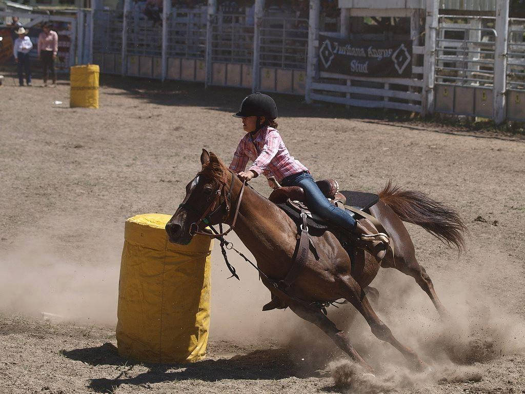 barrel racing, bucking brown horse, yellow barrel, SD Desktop Wallpaper