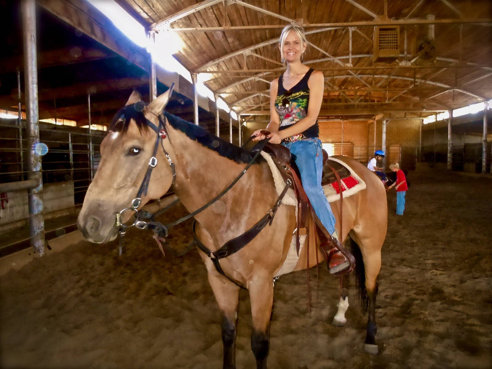 Barrel Racing, chestnut horse, rustic wooden stable, HD Desktop Wallpaper