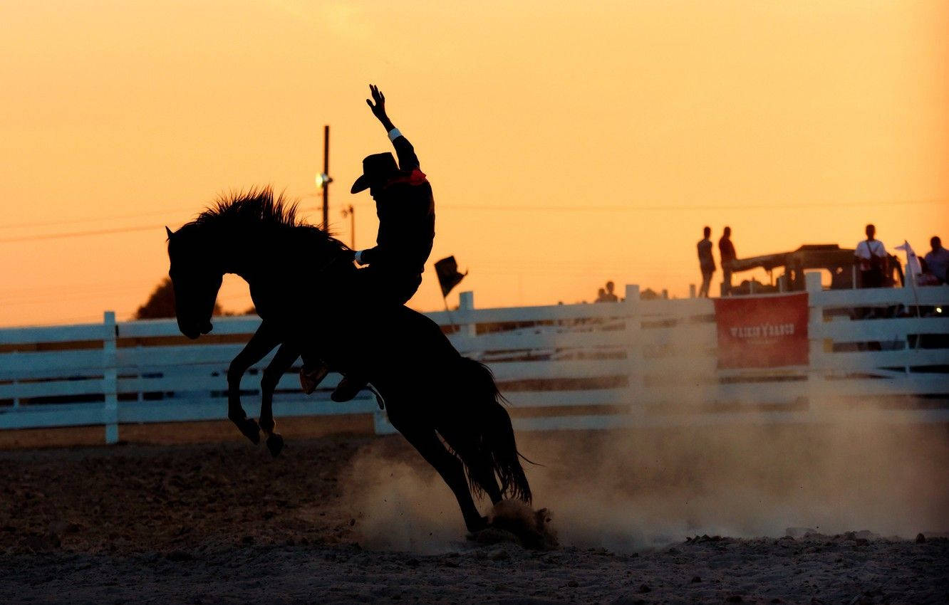 barrel racing, bucking horse, silhouette, HD Desktop Wallpaper