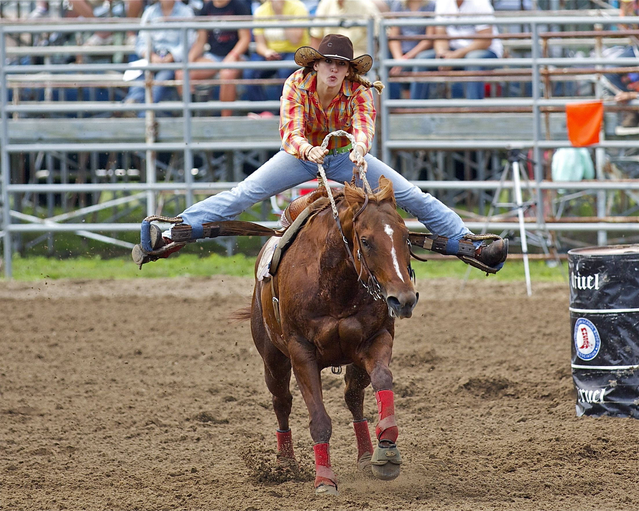 barrel racing, rodeo rider, plaid shirt, Full HD Desktop Wallpaper
