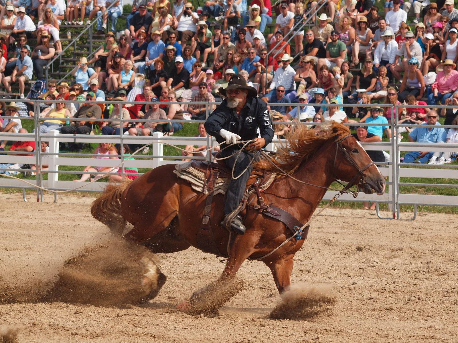 Barrel Racing, black hat, brown horse, HD Desktop Wallpaper