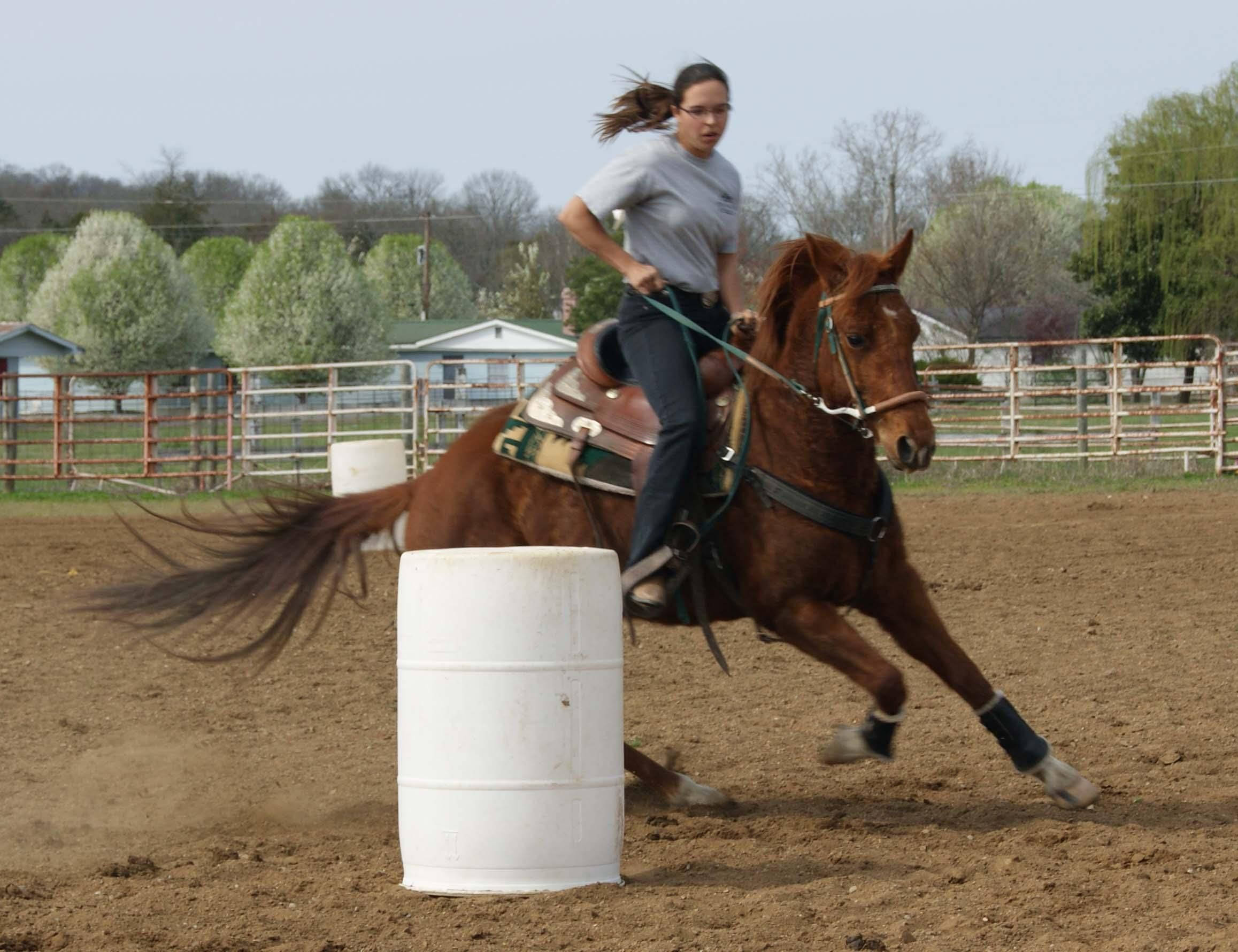Barrel Racing, chestnut horse, dirt track, Full HD Desktop Wallpaper