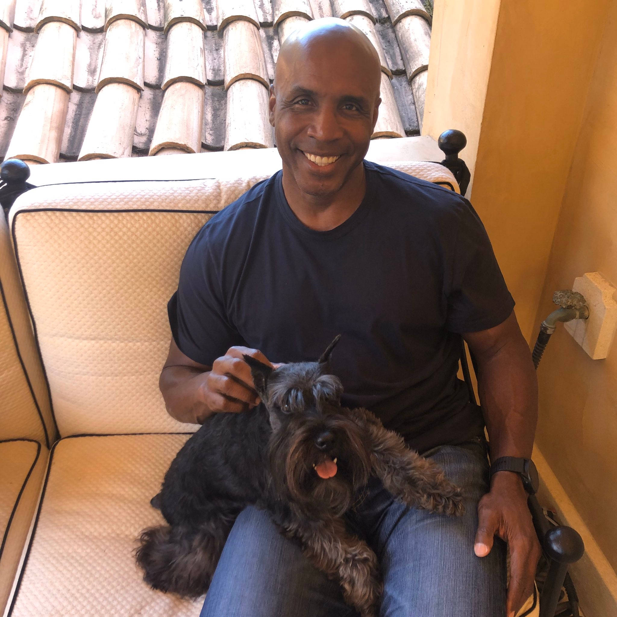 Barry Bonds, black schnauzer, beige outdoor couch, Full HD Desktop Wallpaper