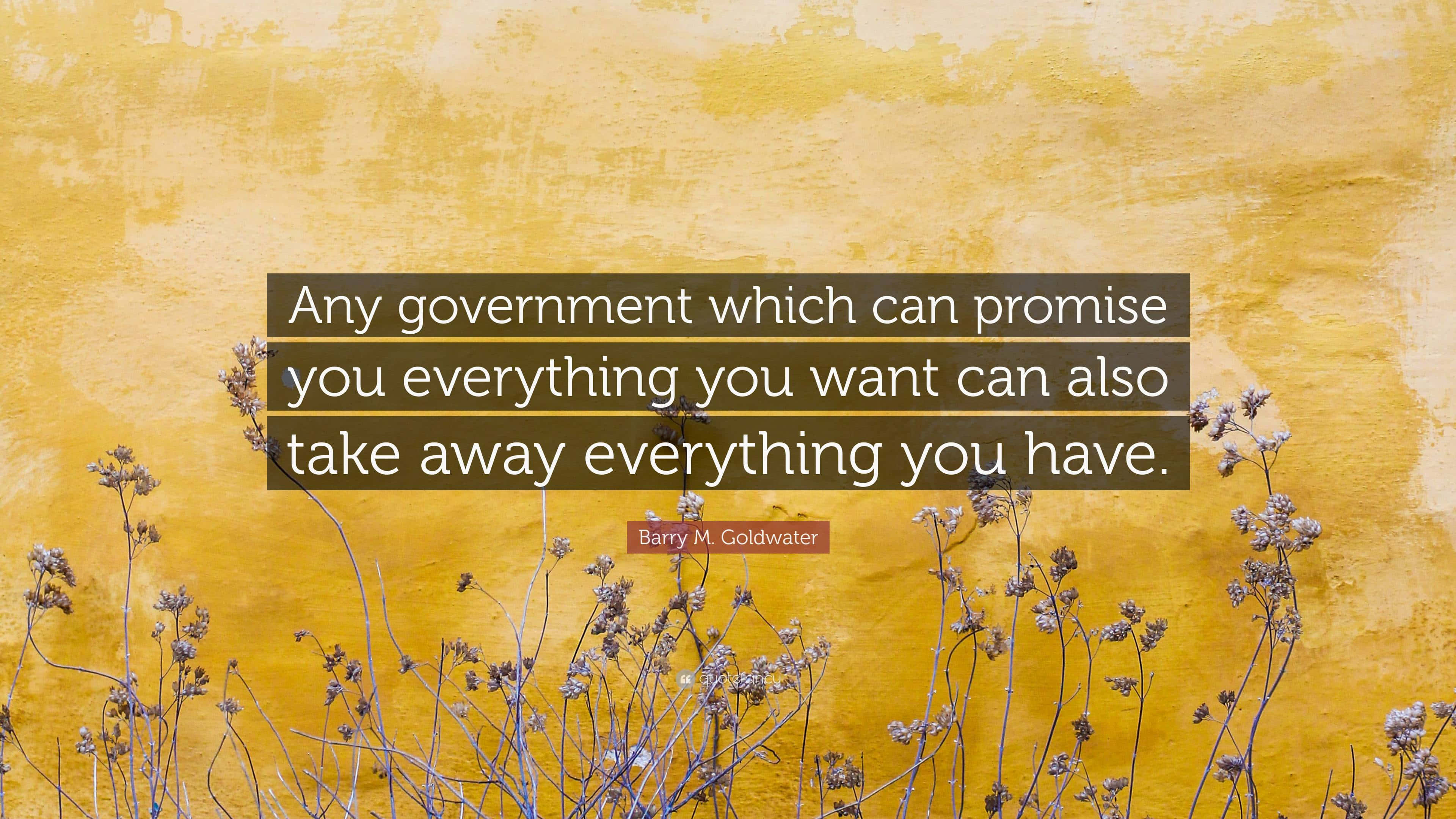 Barry Goldwater, golden-yellow wall, dry wildflowers, 4K Desktop Wallpaper