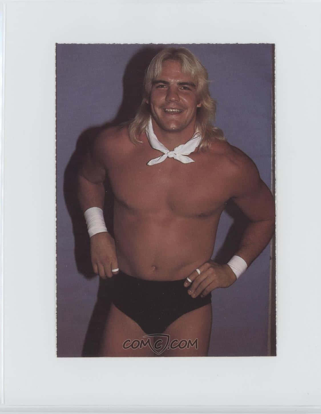 Barry Windham, white necktie, black trunks, HD Phone Wallpaper