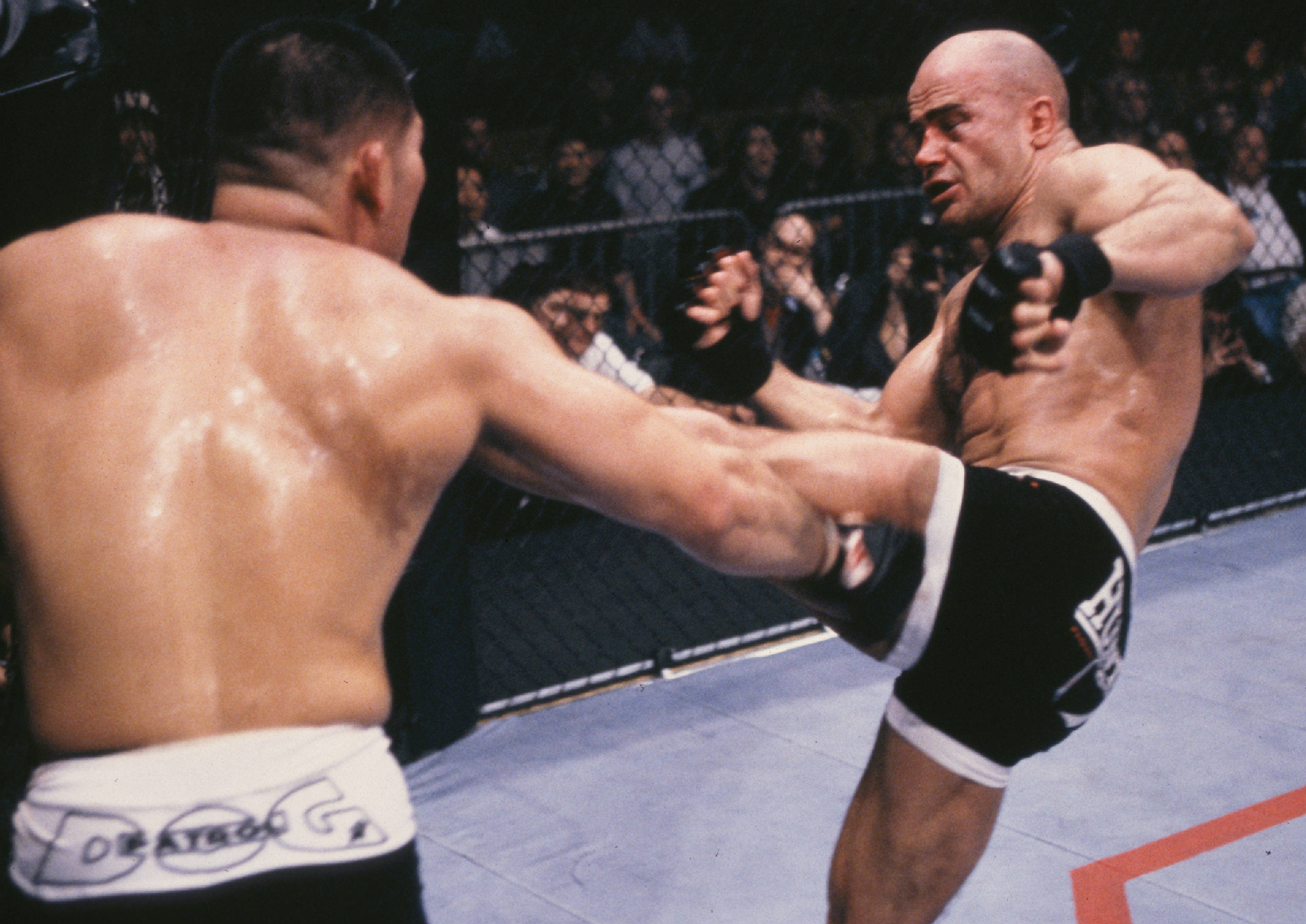Bas Rutten, cage, high kick, 2K Desktop Wallpaper