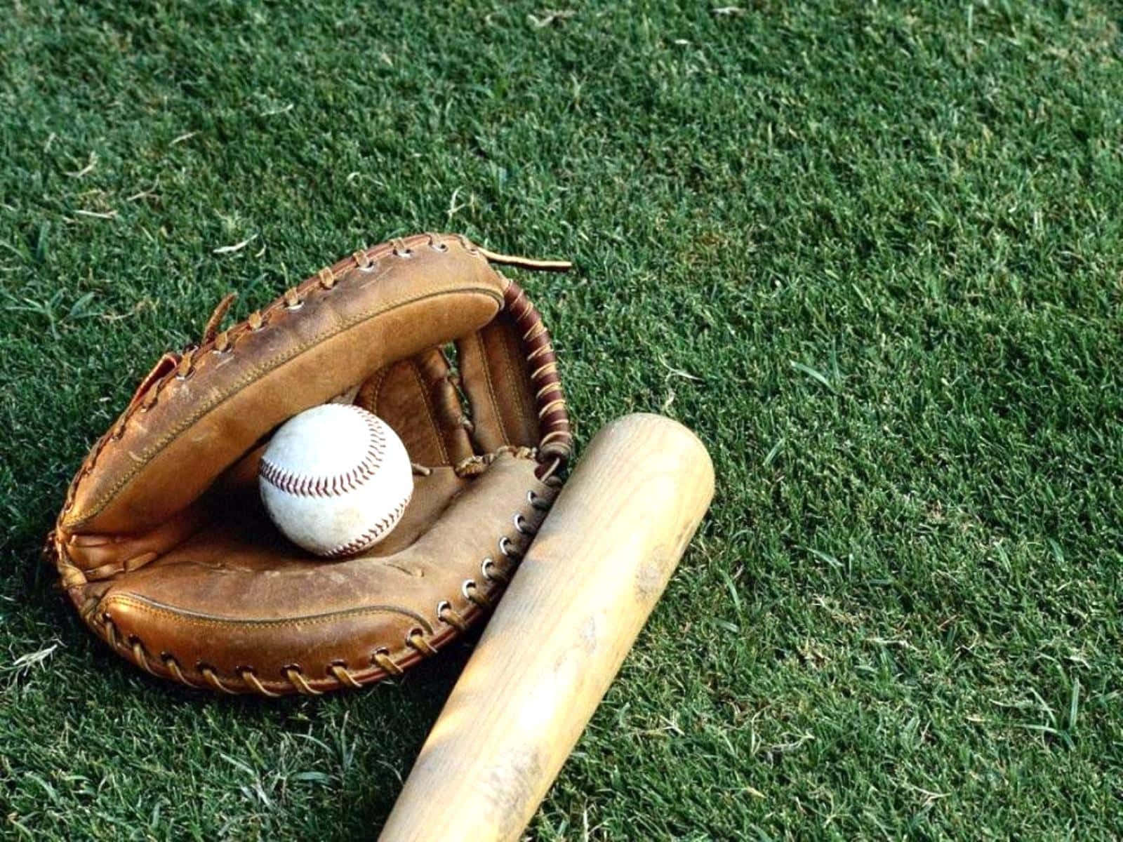 white baseball, wooden bat, vibrant green grass, HD Desktop Wallpaper