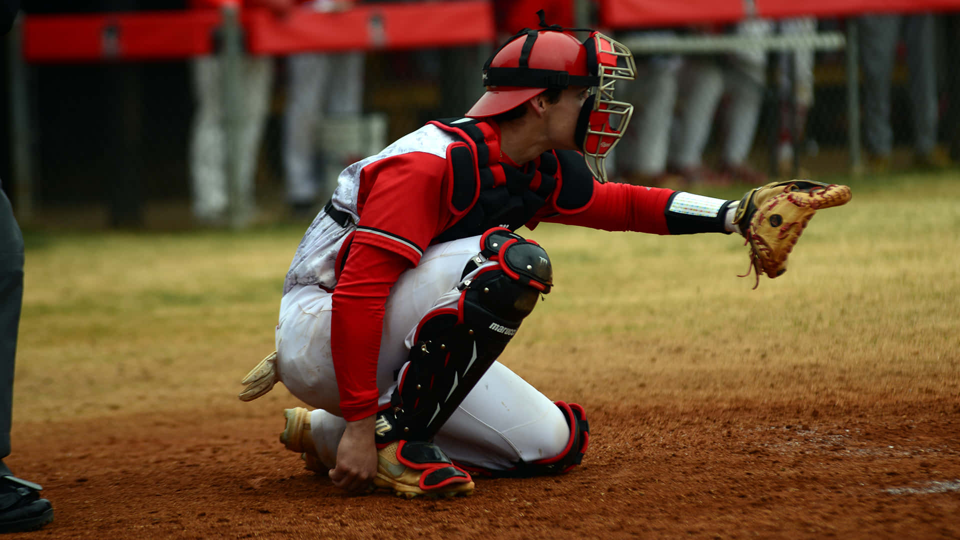 baseball catcher, red and white gear, dirt field, Full HD Desktop Wallpaper