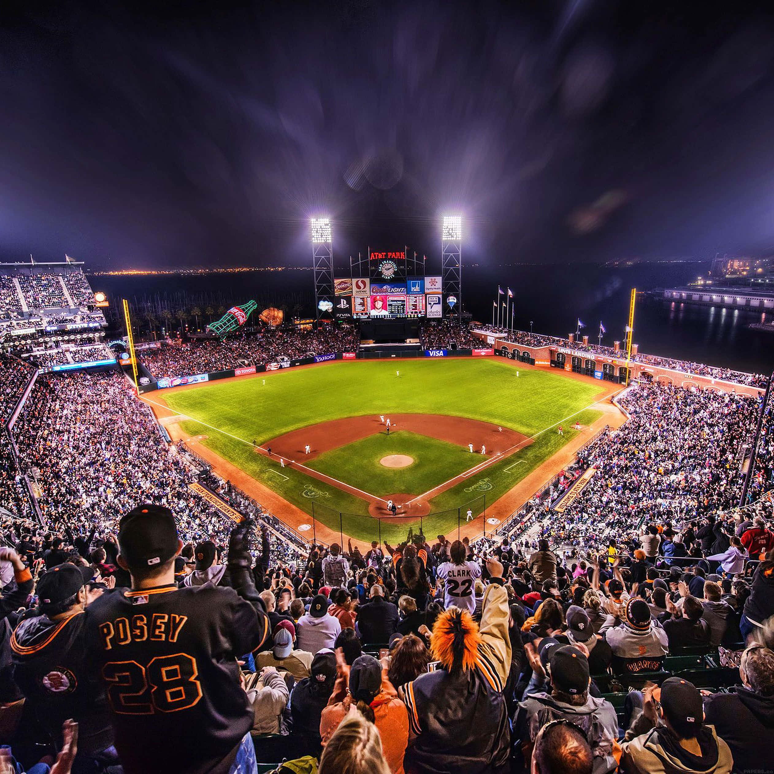 baseball stadium, evening sky, night, Full HD Desktop Wallpaper