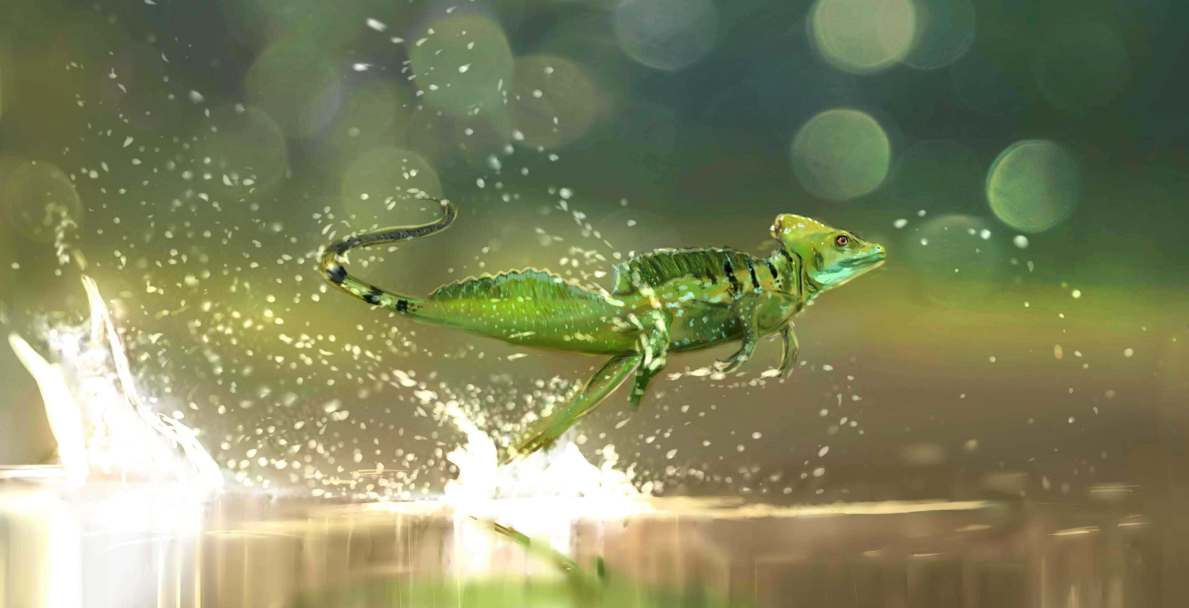 Basilisk Lizard, water run, sparkling droplets, 4K Desktop Wallpaper
