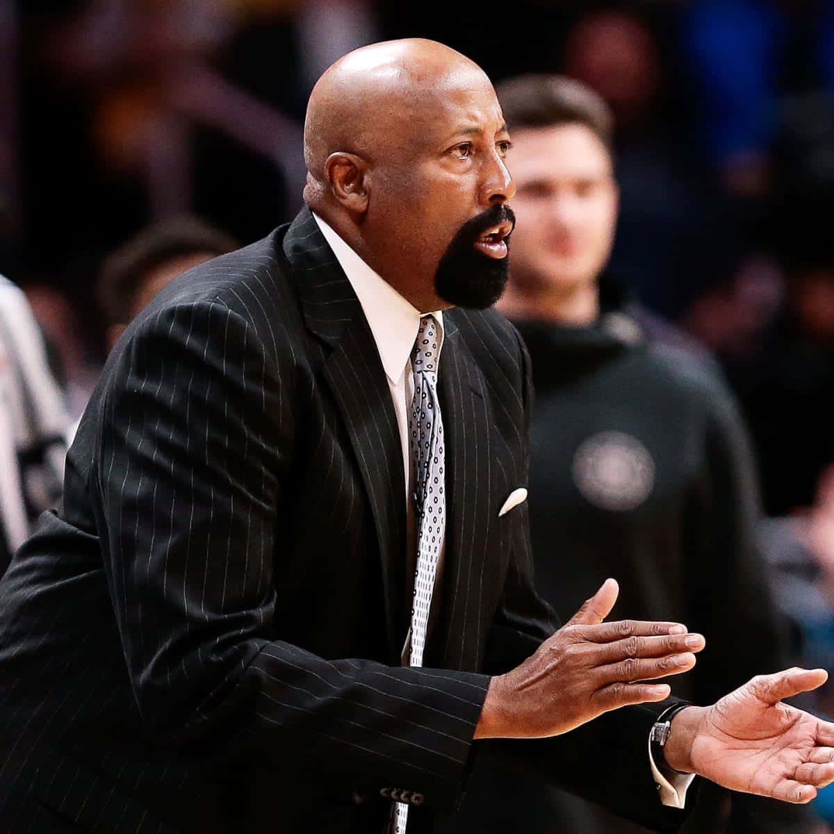 basketball coach, pinstripe suit, bright arena lights, SD Desktop Wallpaper