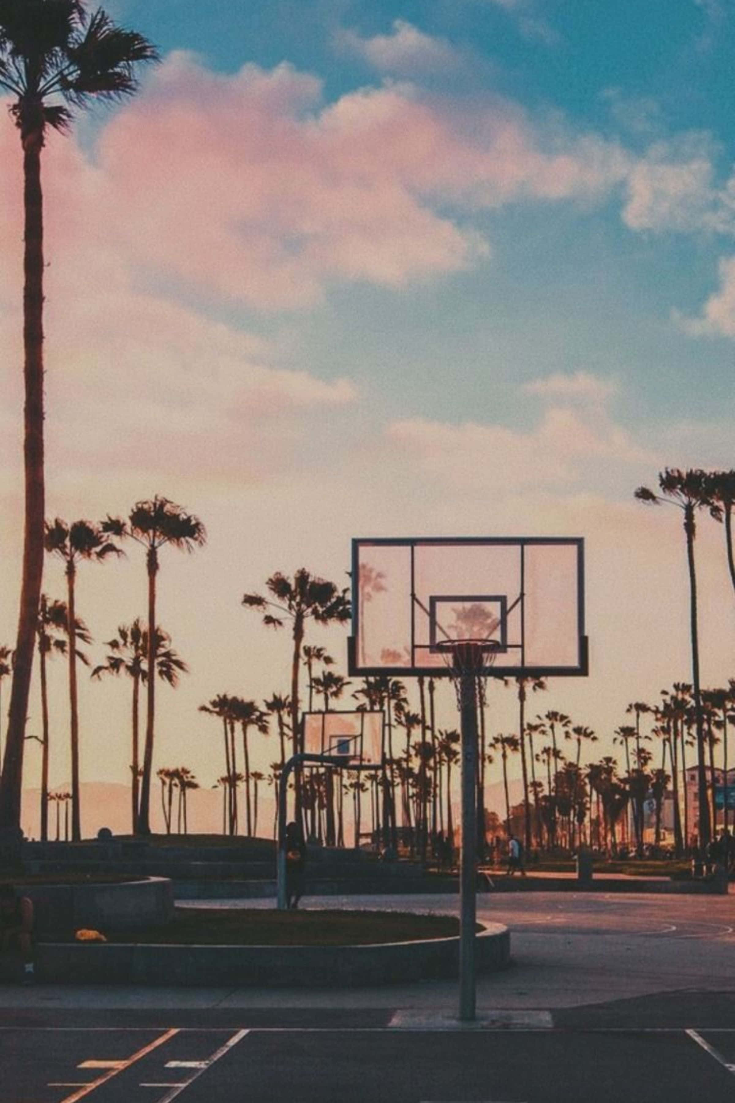 basketball hoop, palm trees, pastel sunset sky, 2K Phone Wallpaper