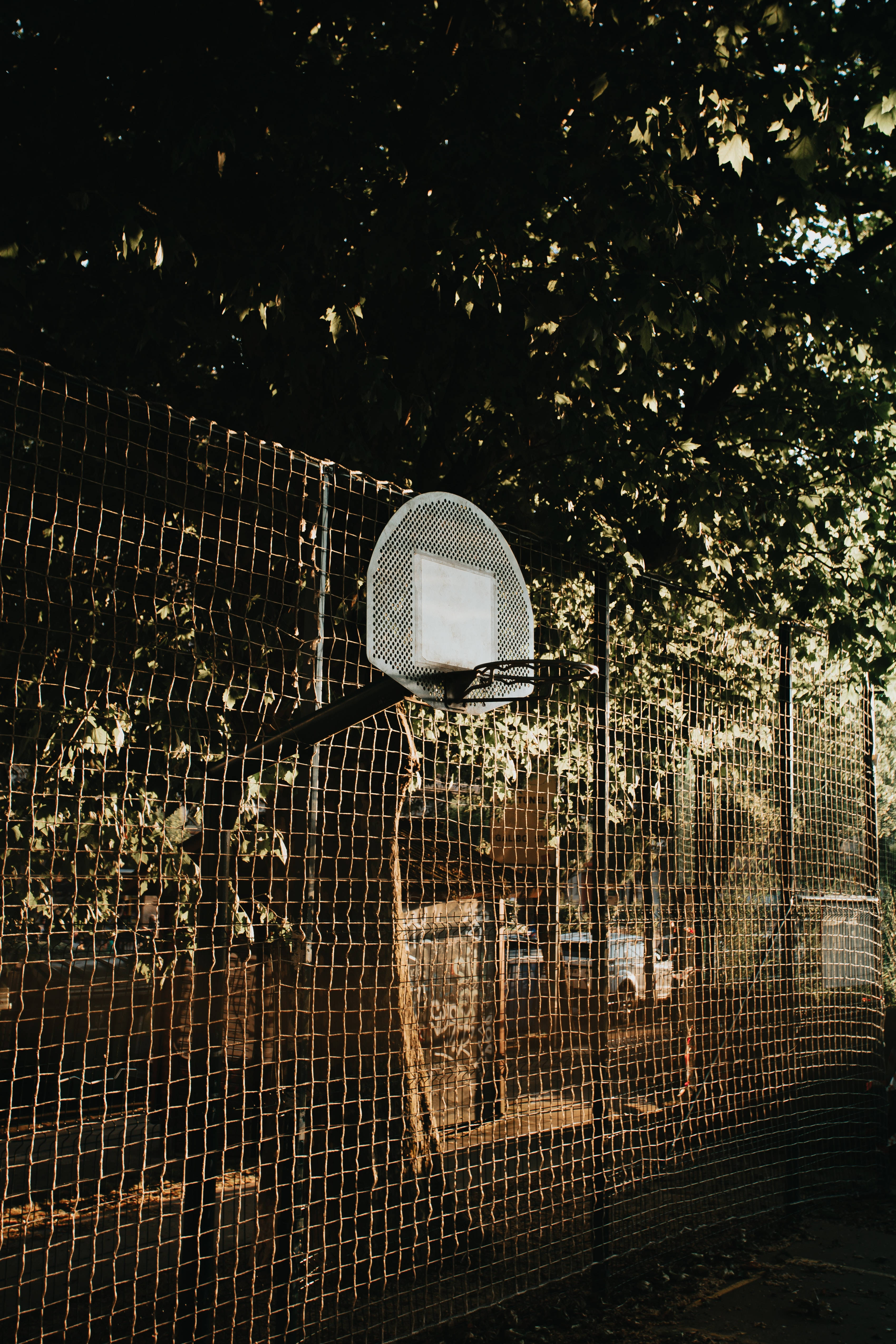 mesh basketball backboard, chain-link fence, golden afternoon light, 4K Phone Wallpaper