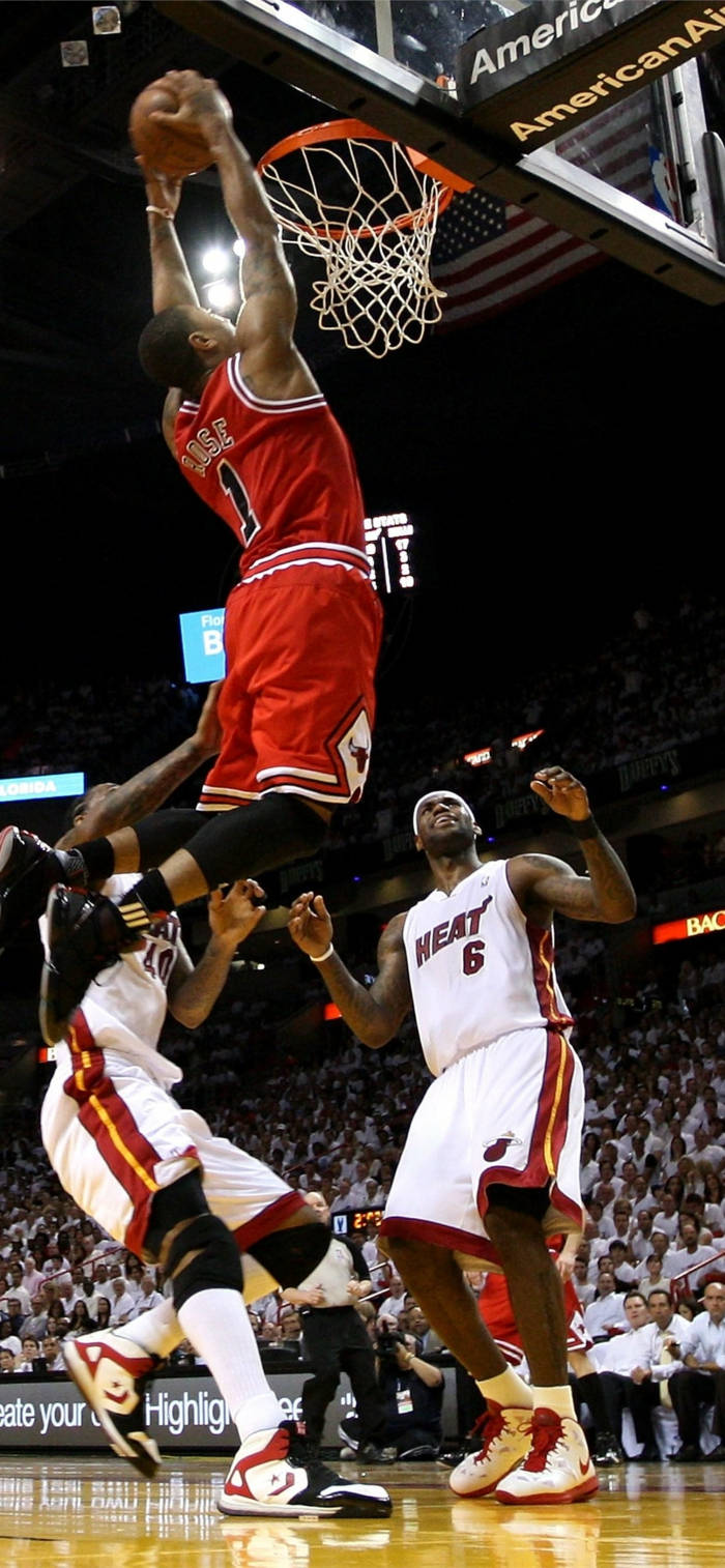 Rose, dunking, red, HD Phone Wallpaper