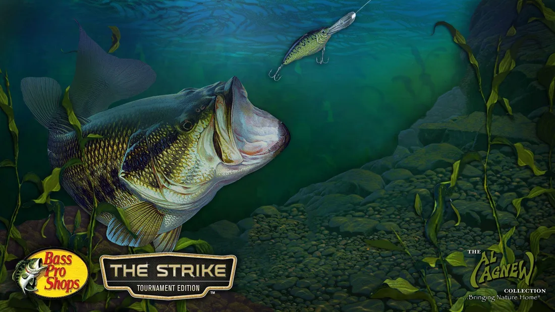Bass Fishing