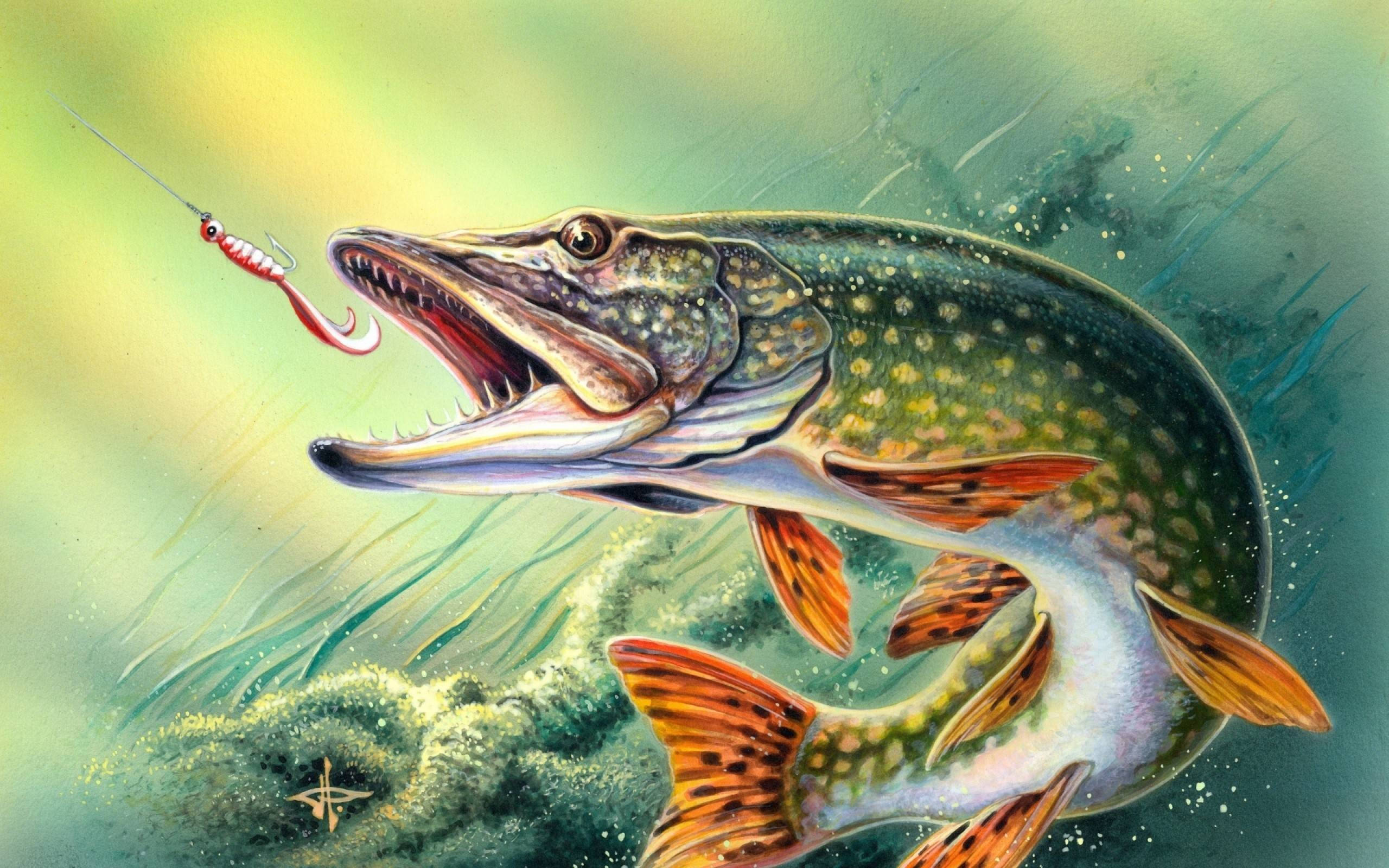 bass fishing, calm lake, sunlit water, 2K Desktop Wallpaper