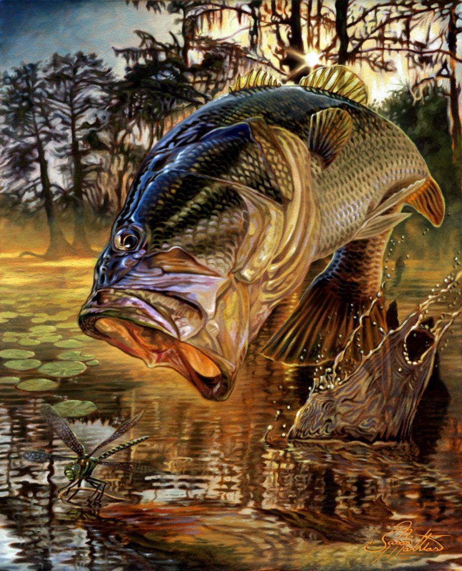 bass fishing, swampy pond, dusk, SD Phone Wallpaper