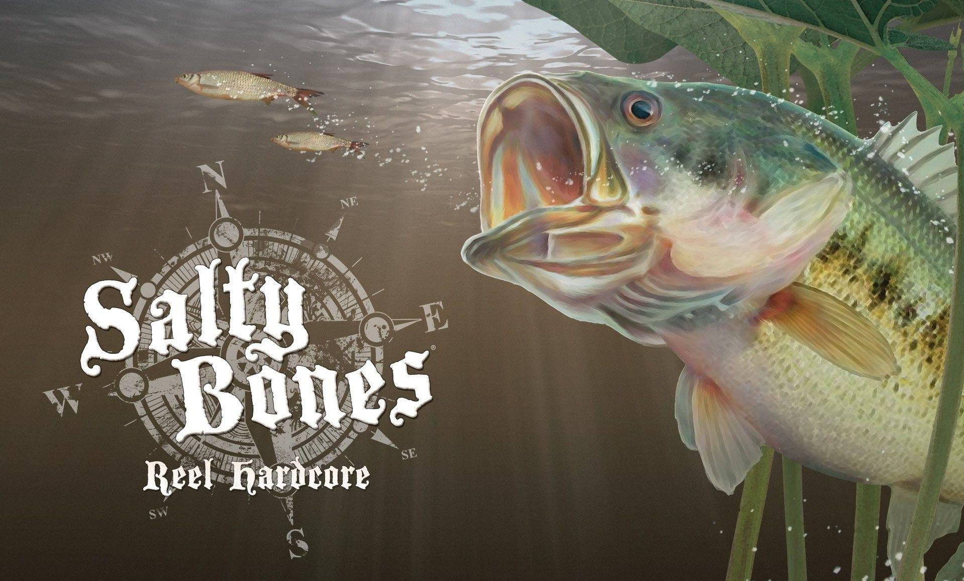 bass fishing, bass, murky water, HD Desktop Wallpaper