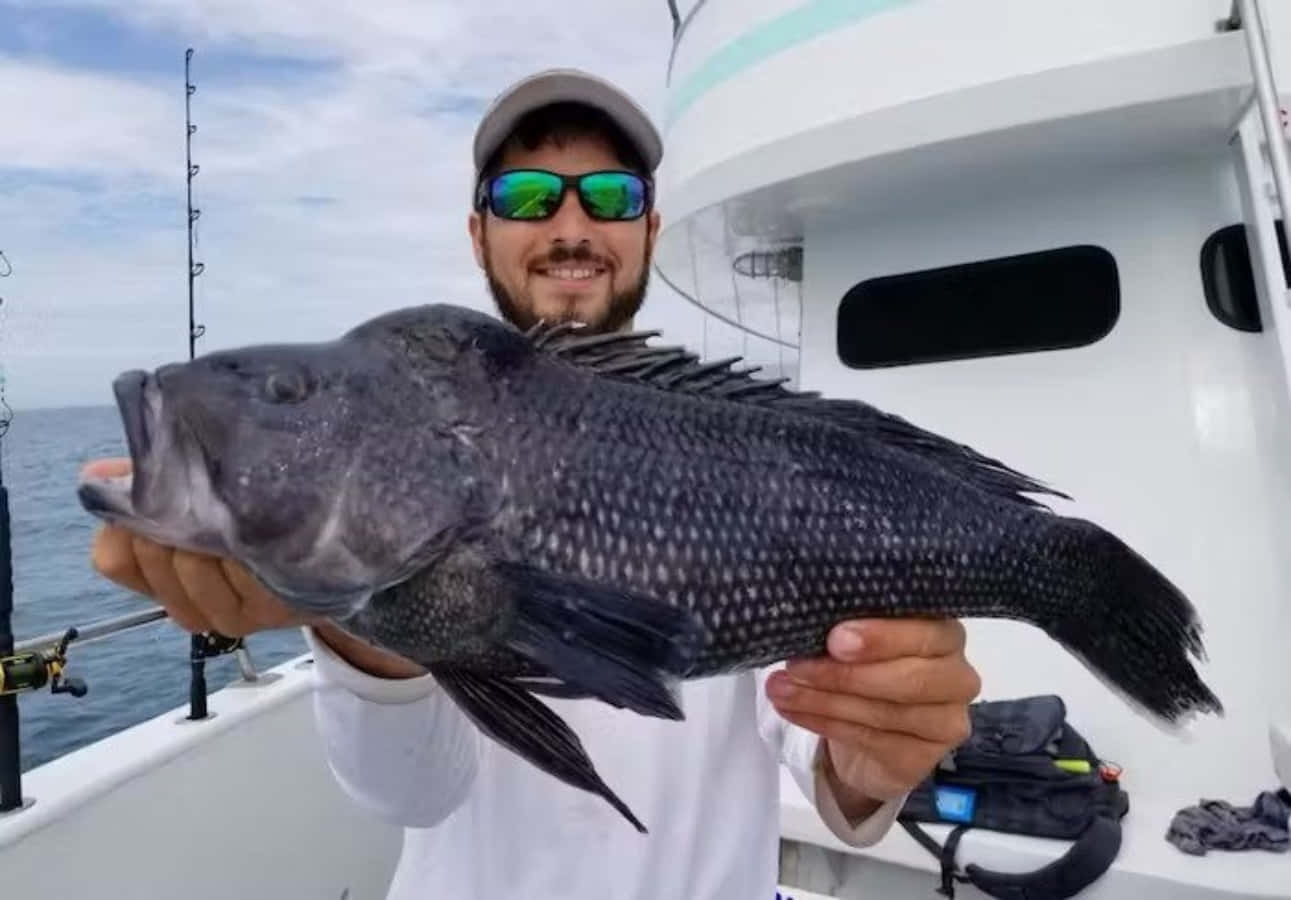 Black Sea Bass, bearded fisherman, sunglasses, HD Desktop Wallpaper