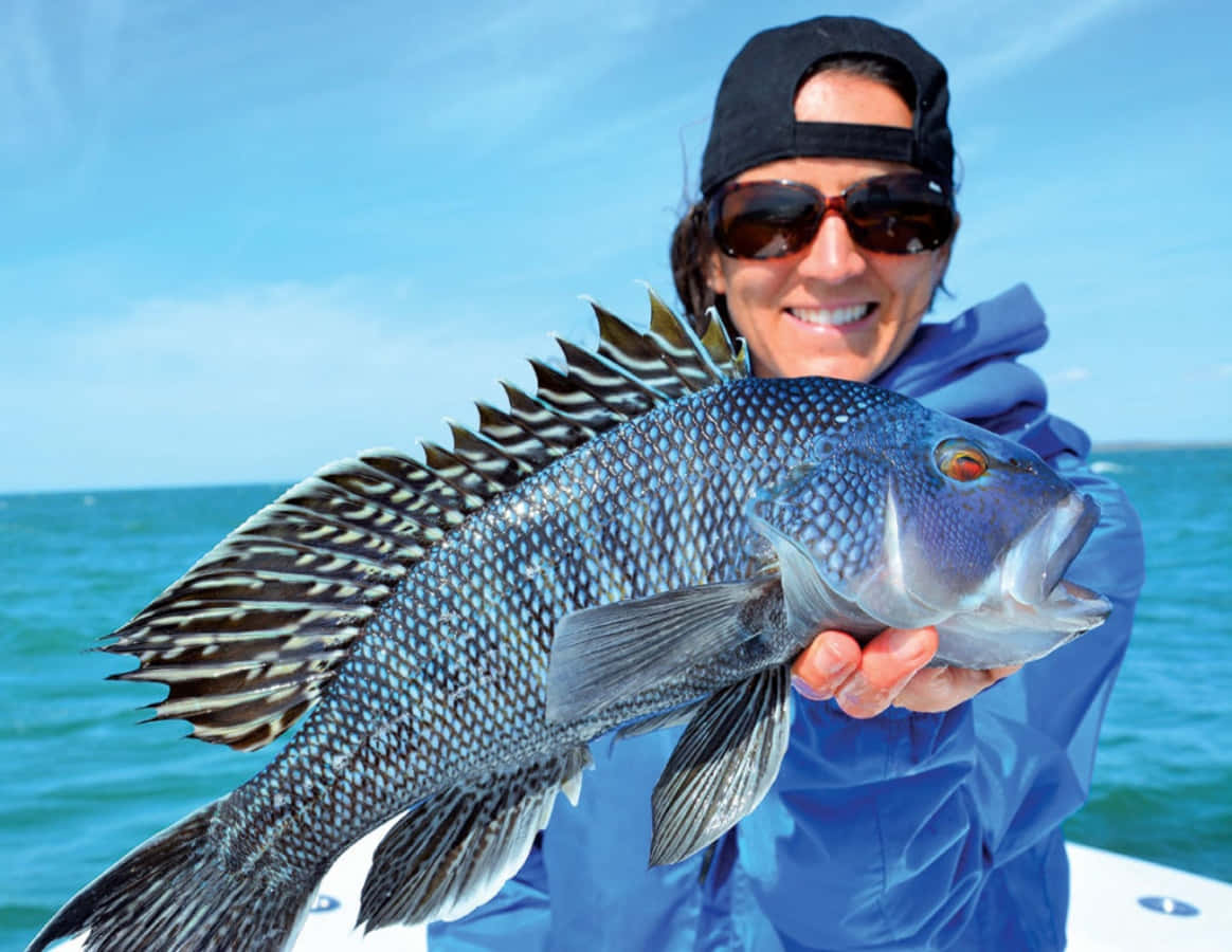 Black Sea Bass, blue jacket, black cap, SD Desktop Wallpaper