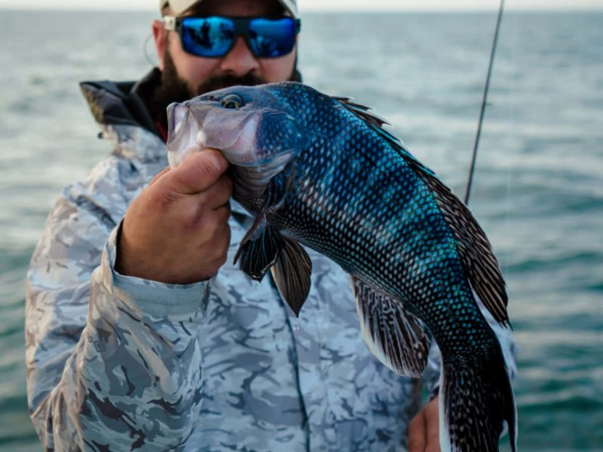 Black Sea Bass, camouflage gear, blue sunglasses, SD Desktop Wallpaper