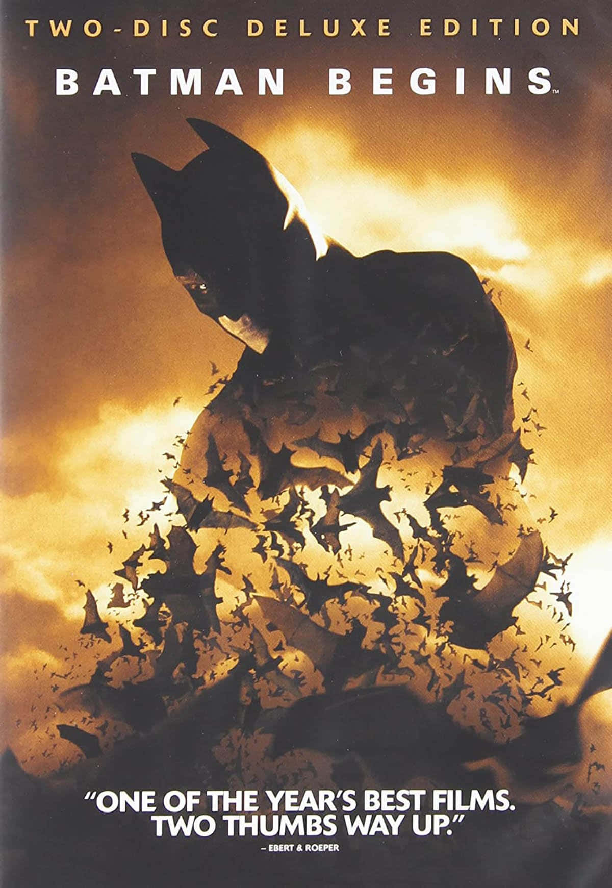 Batman Begins, Batman silhouette, swarm of bats, HD Phone Wallpaper