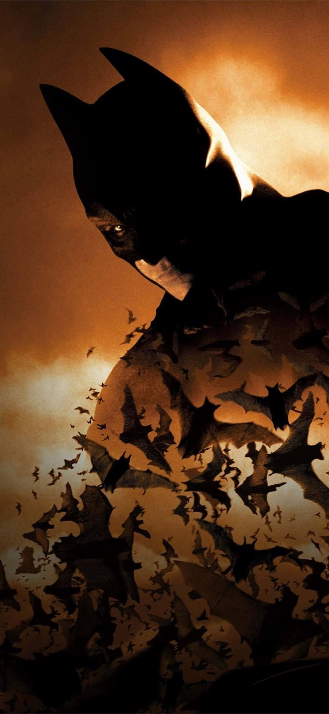 Batman, silhouette, swarm of bats, Full HD Phone Wallpaper