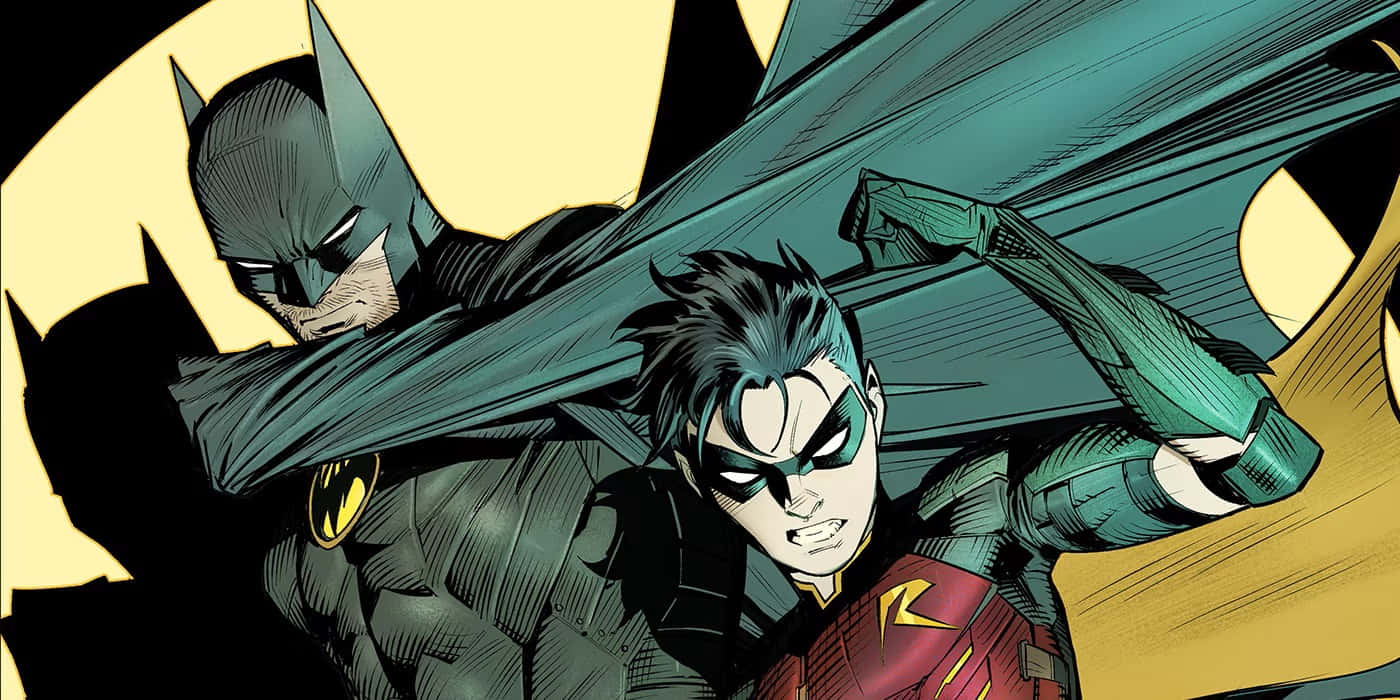 Batman, Robin, cape, HD Desktop Wallpaper