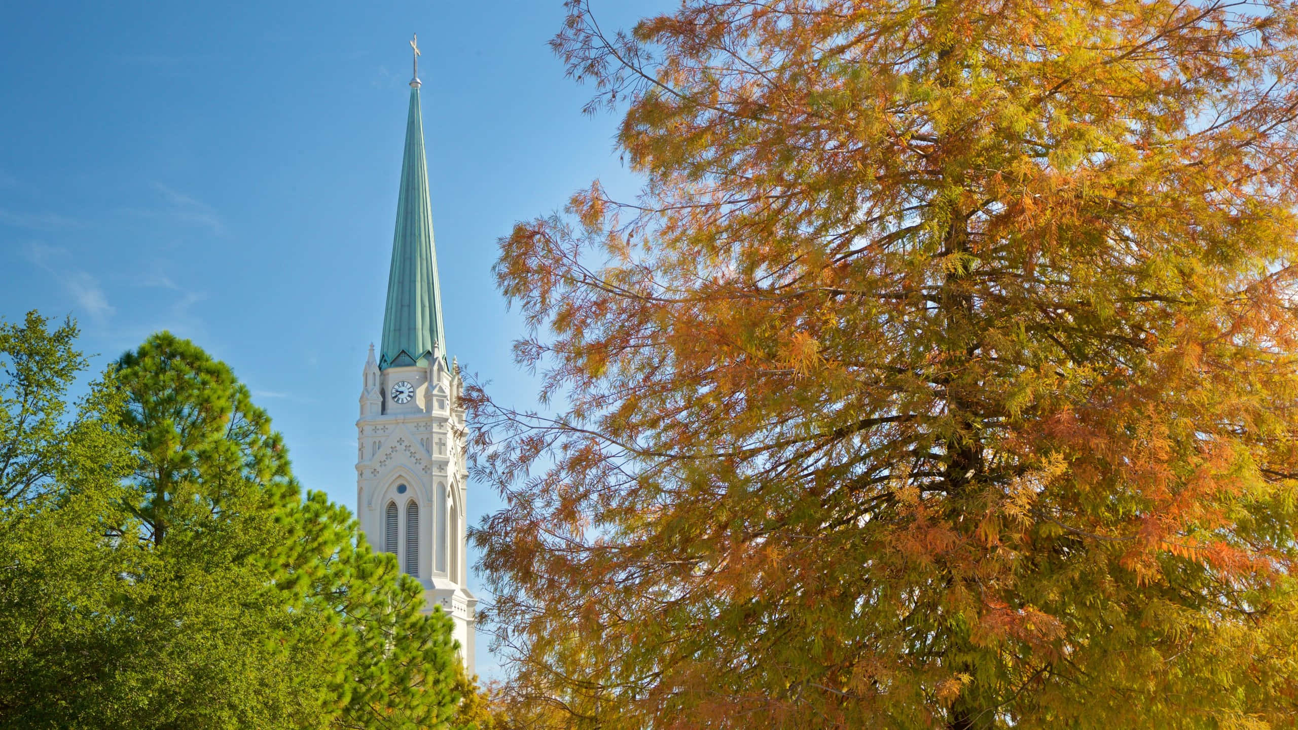 Baton Rouge, white church steeple, green spire, 2K Desktop Wallpaper