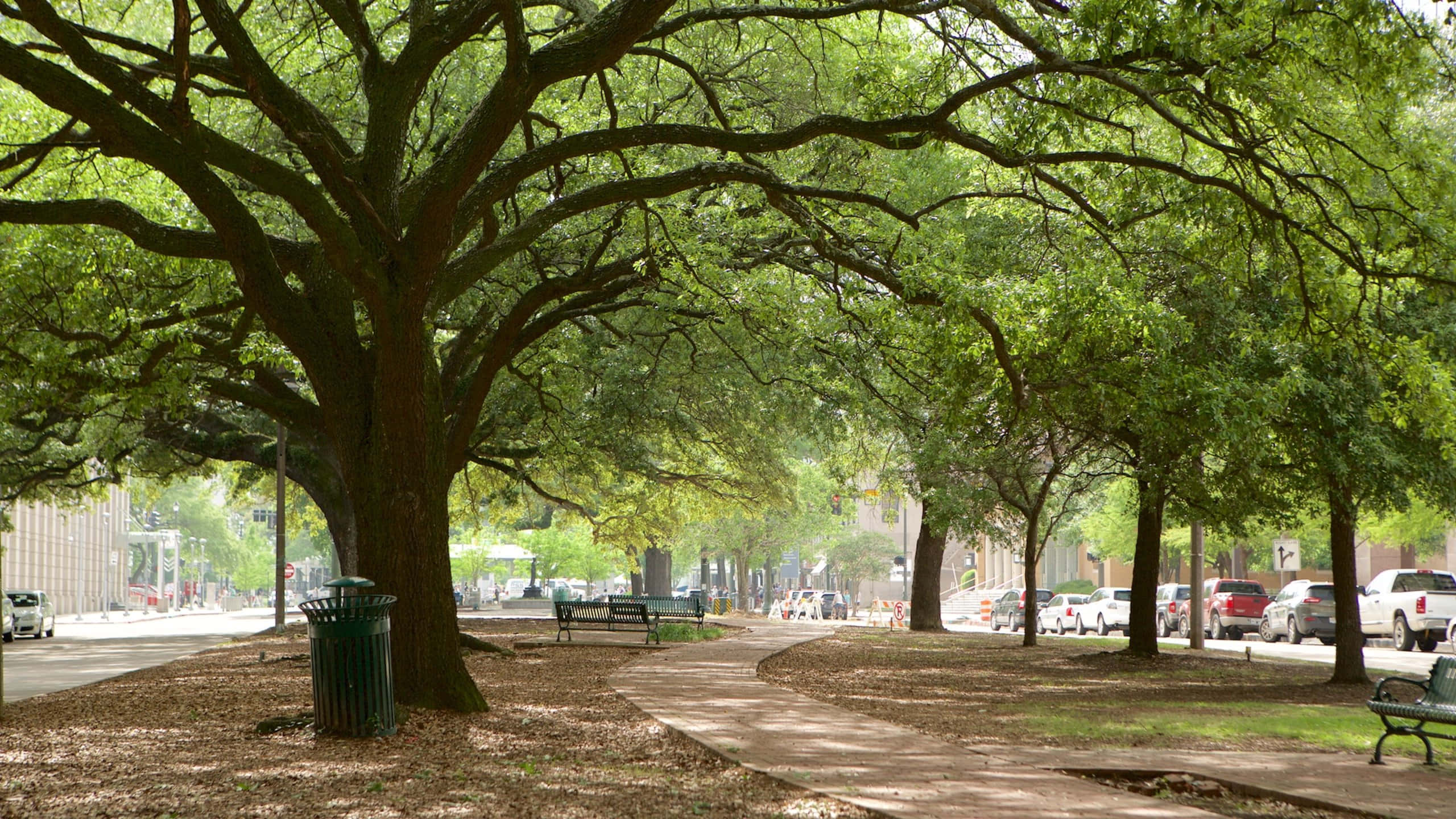 Baton Rouge, sunset, tree-lined sidewalk, 2K Desktop Wallpaper