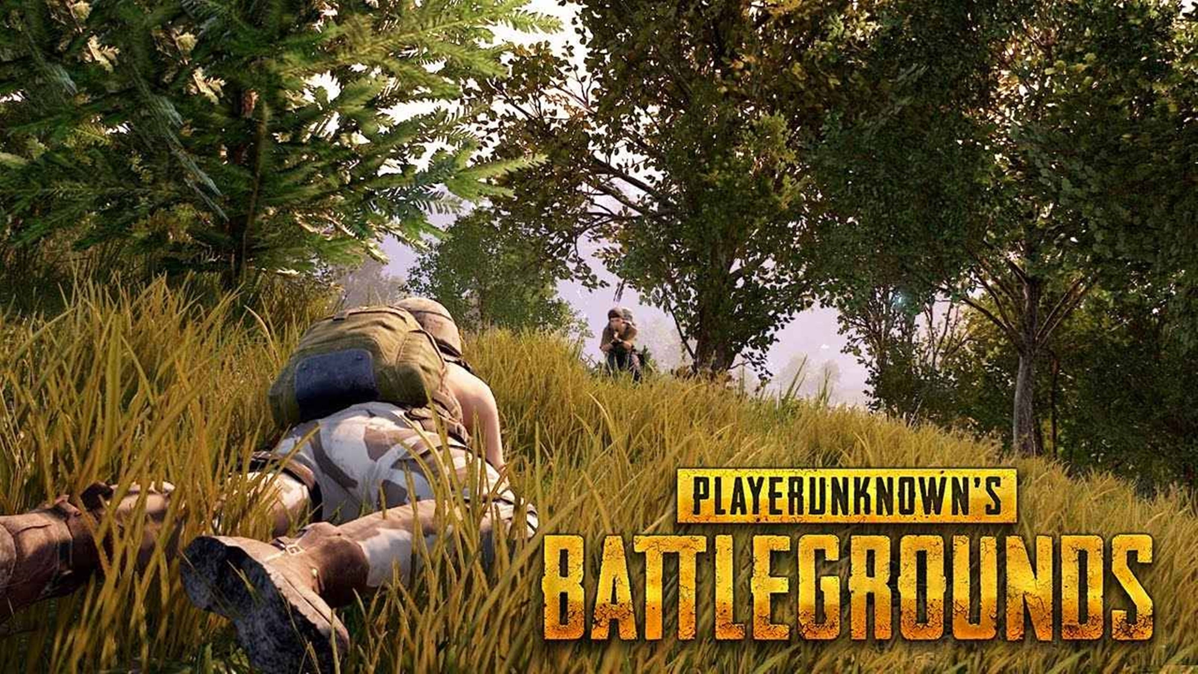 Player, camouflage, tall grass, 4K Desktop Wallpaper