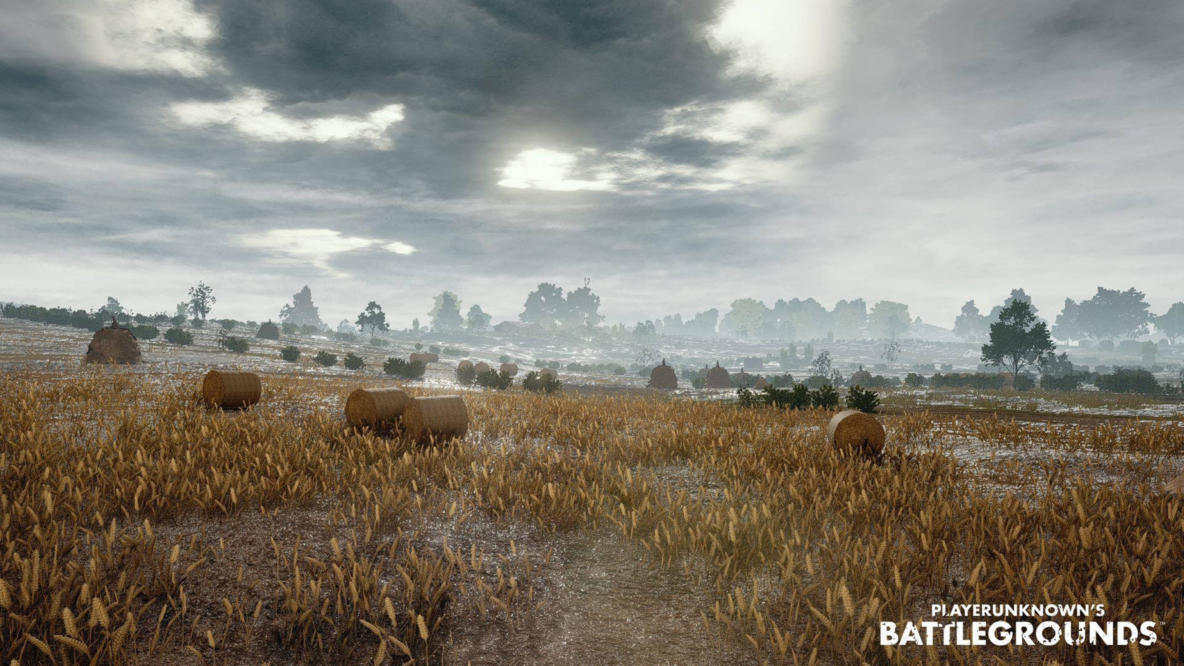 Battleground HD, misty rural field, hay bales, 4K Desktop Wallpaper