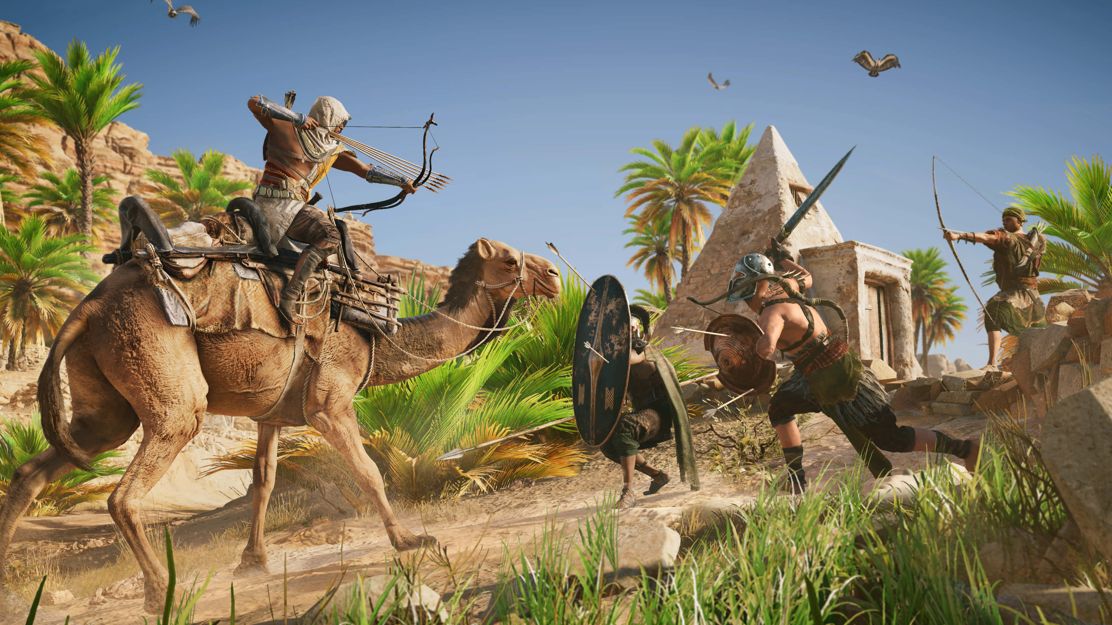 Bayek, camel, bow, 4K Desktop Wallpaper